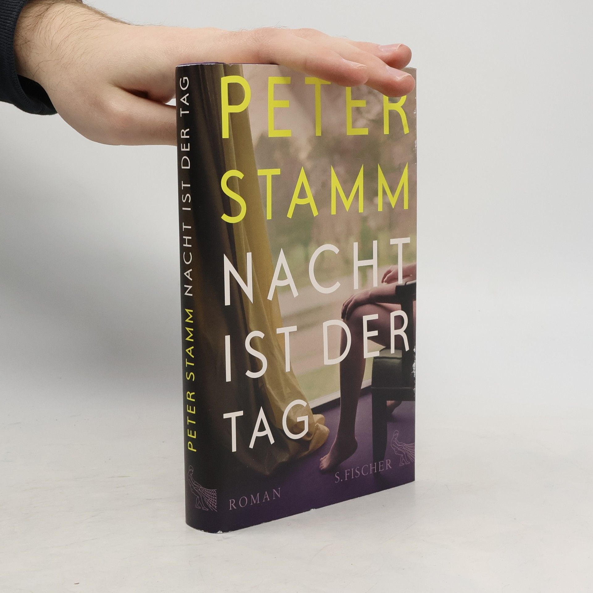 Peter Stamm Nacht ist der Tag