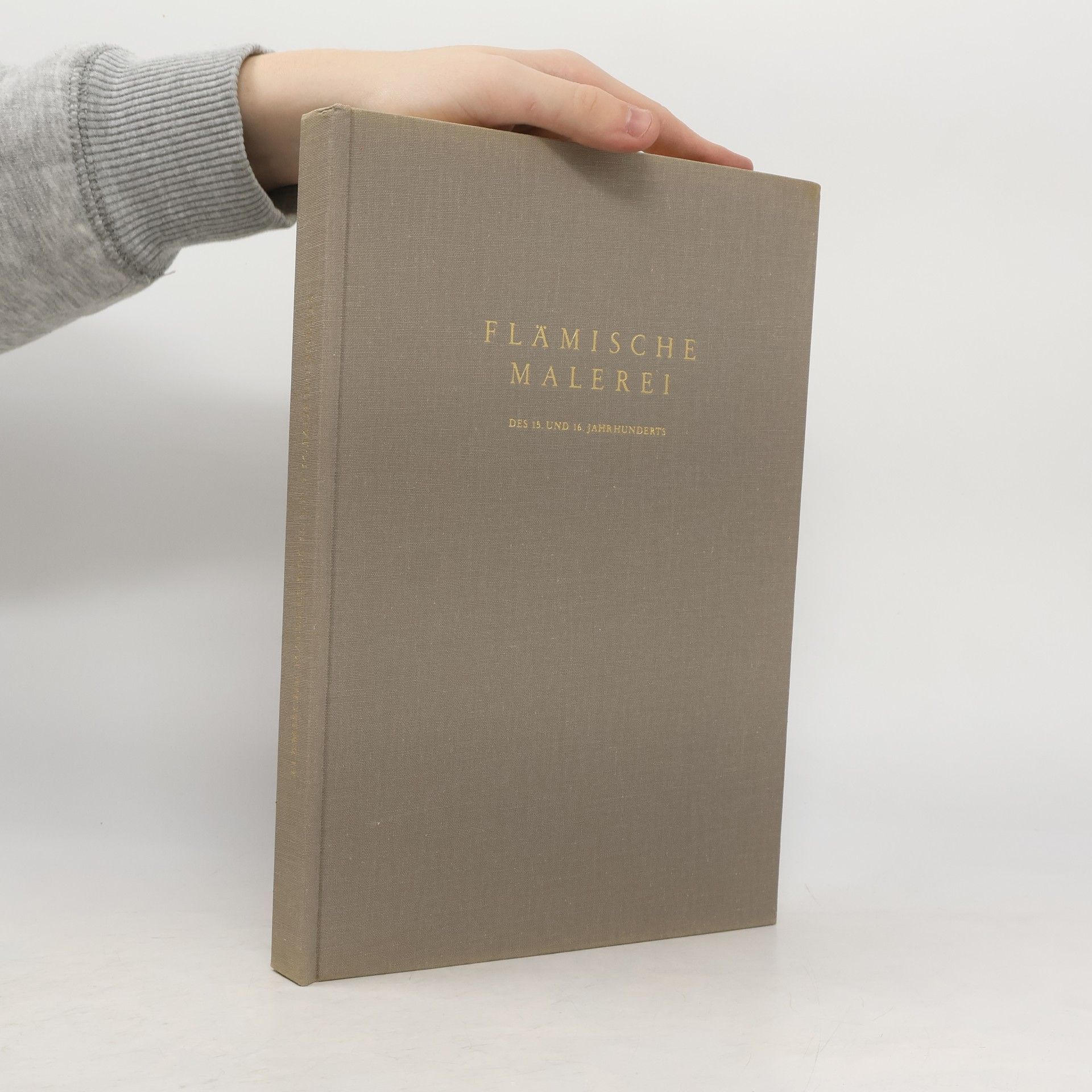 Jeanne de la Ruwière Flämische Malerei des 15. und 16. Jahrhunderts