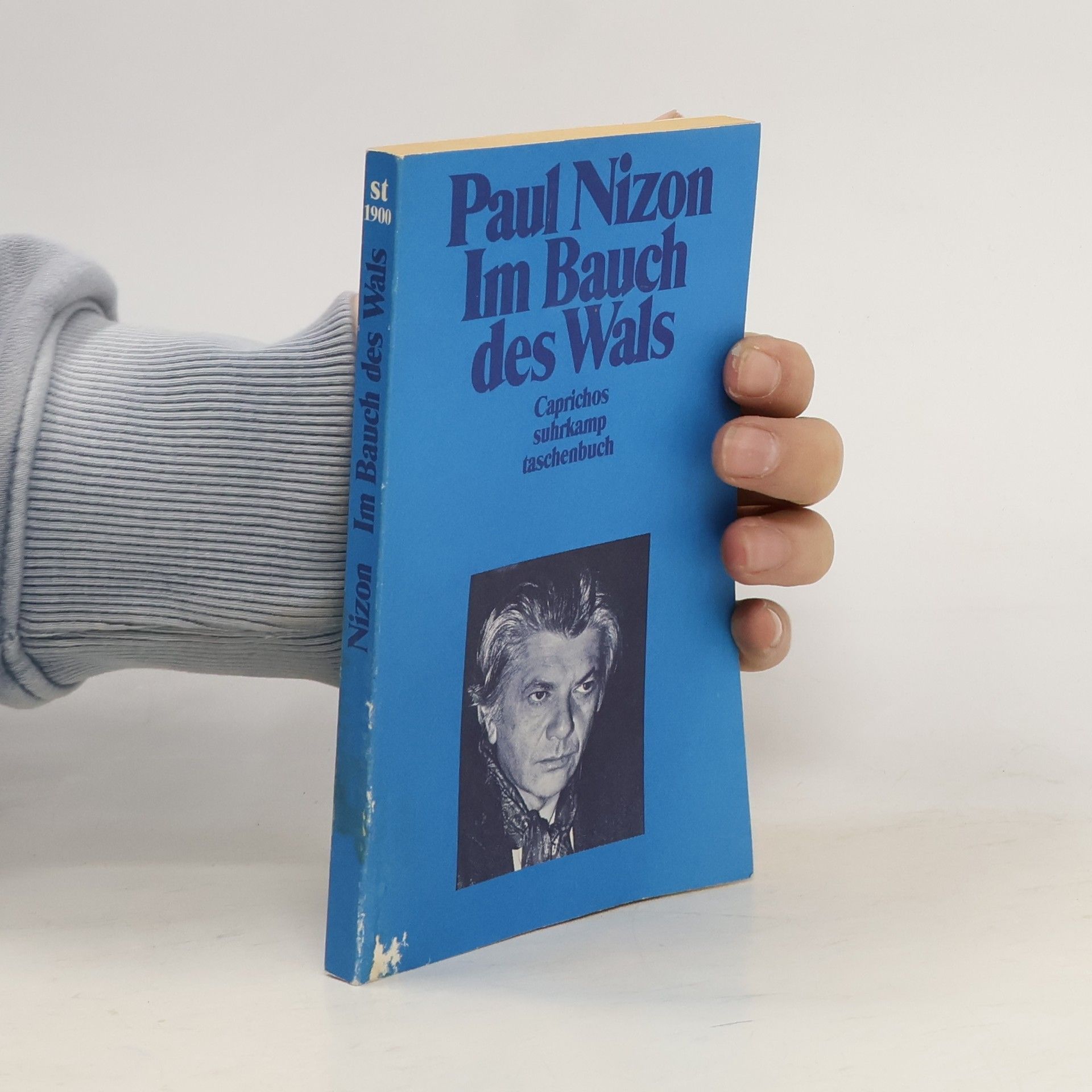 Paul Nizon Im Bauch des Wals