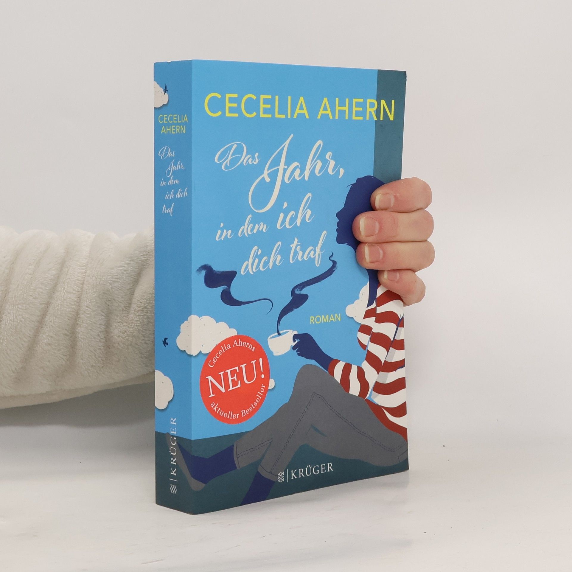 Cecelia Ahern Das Jahr, in dem ich dich traf