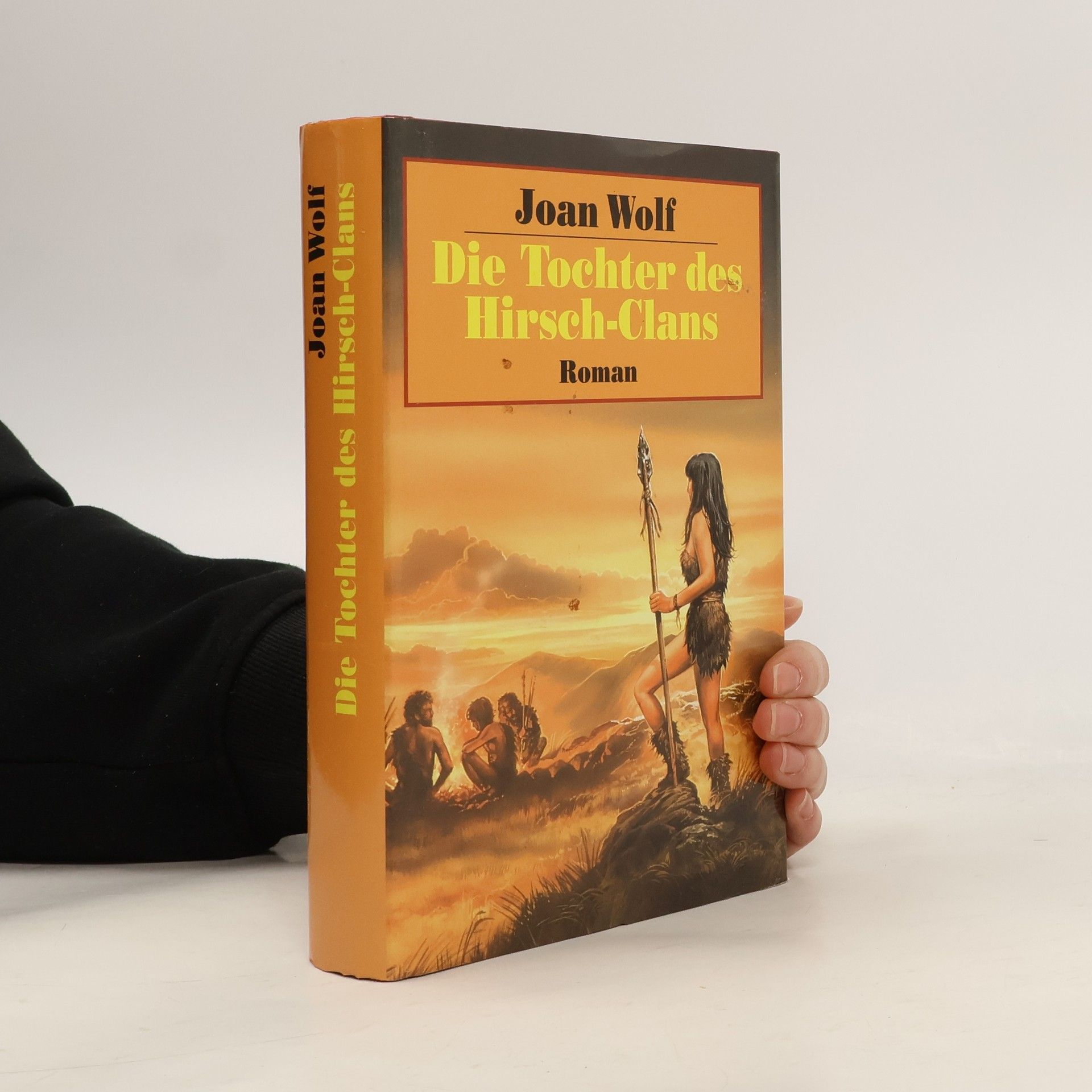 Joan Wolf Die Tochter des Hirsch-Clans