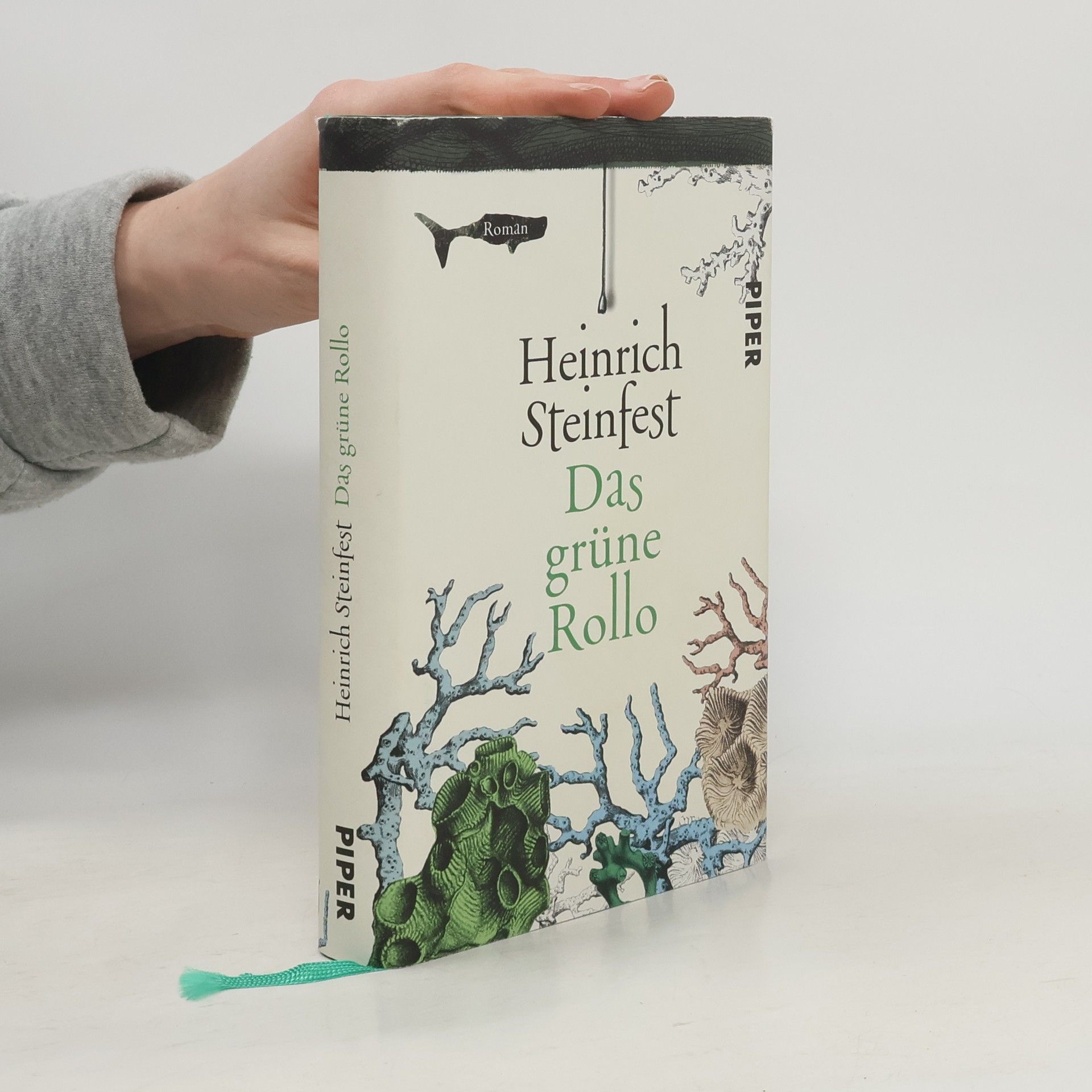 Heinrich Steinfest Das grüne Rollo