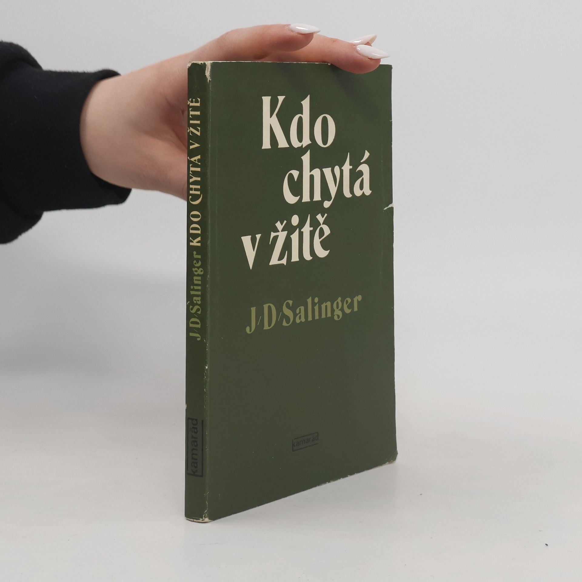 Jerome David Salinger Kdo chytá v žitě