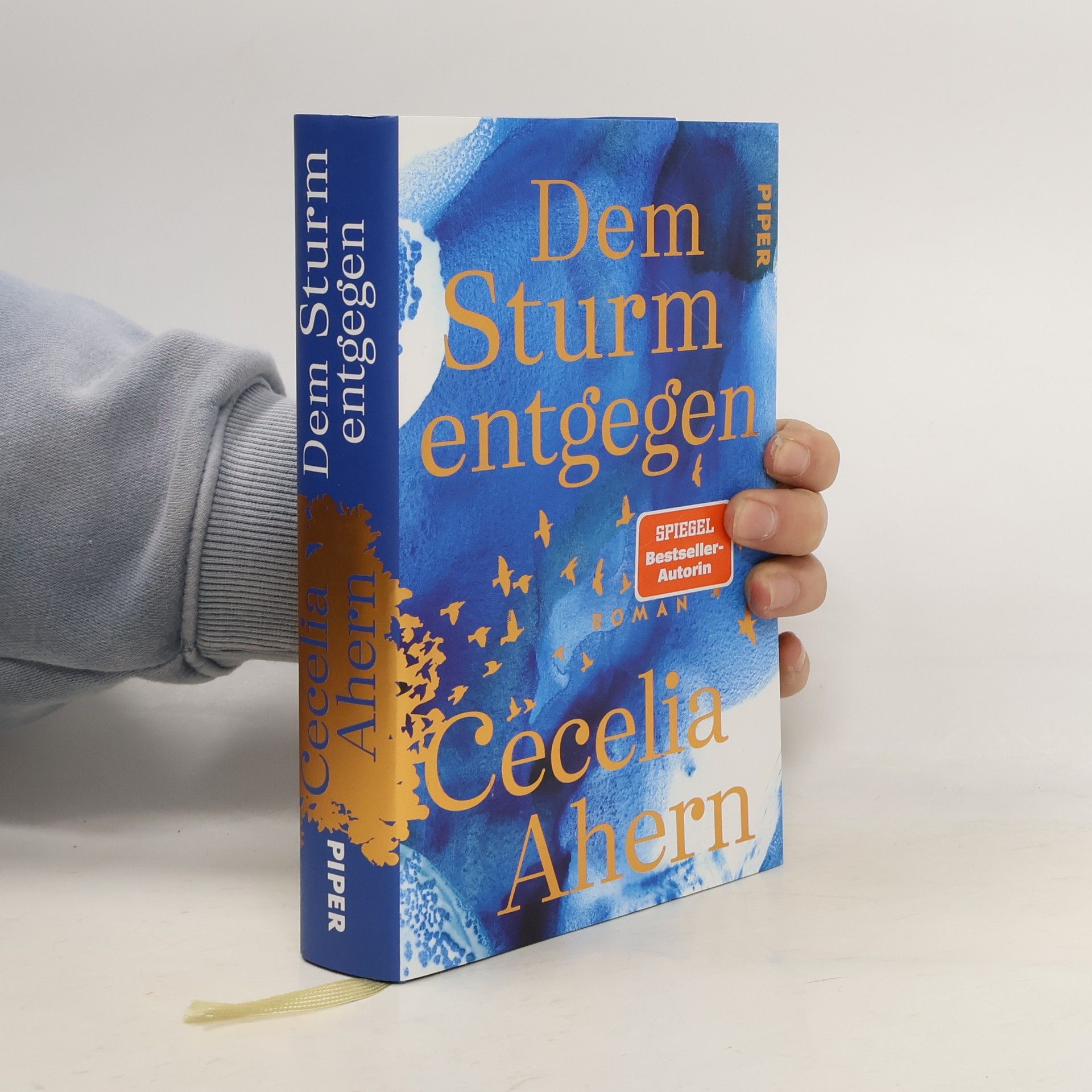 Cecelia Ahern Dem Sturm entgegen