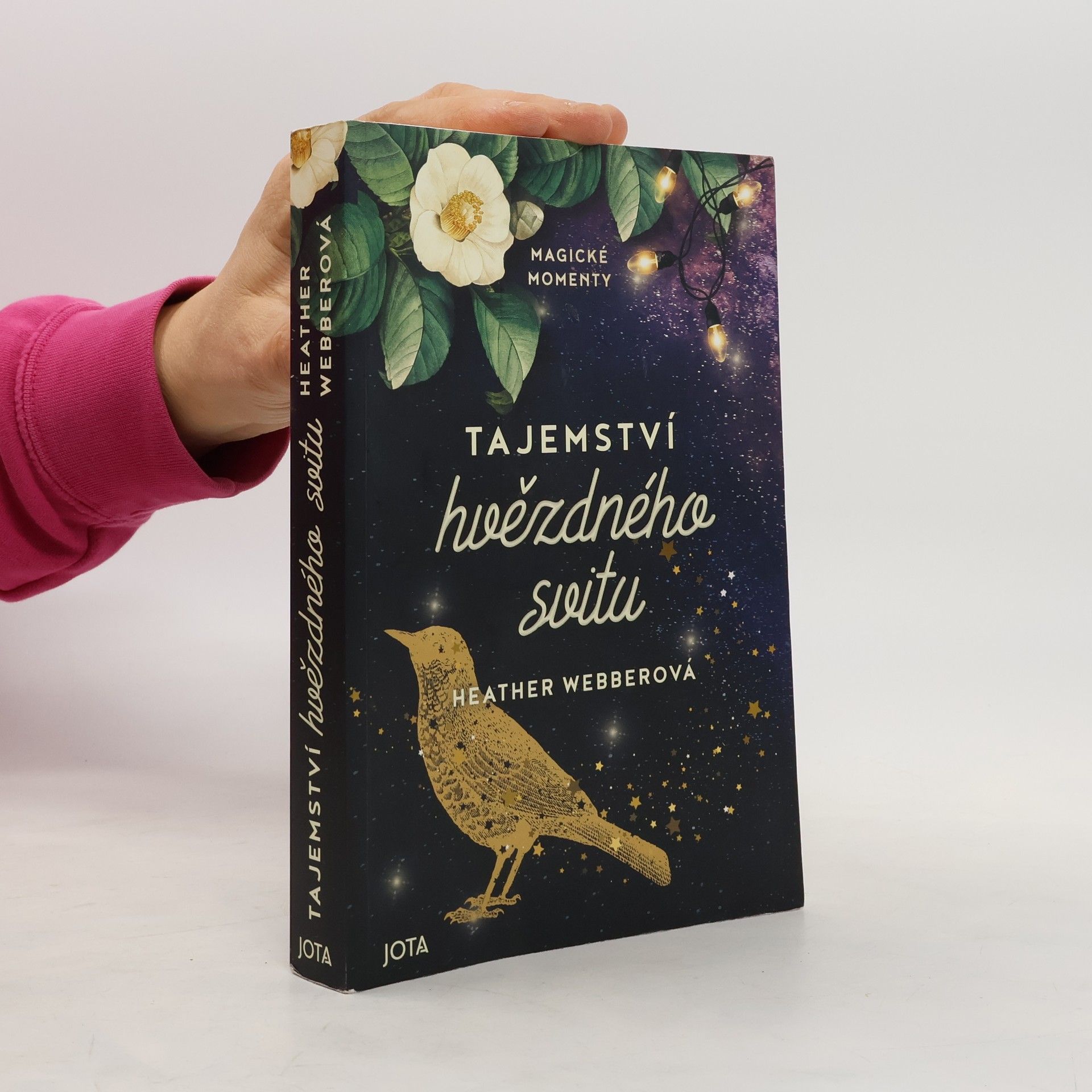 Heather Webber Tajemství hvězdného svitu