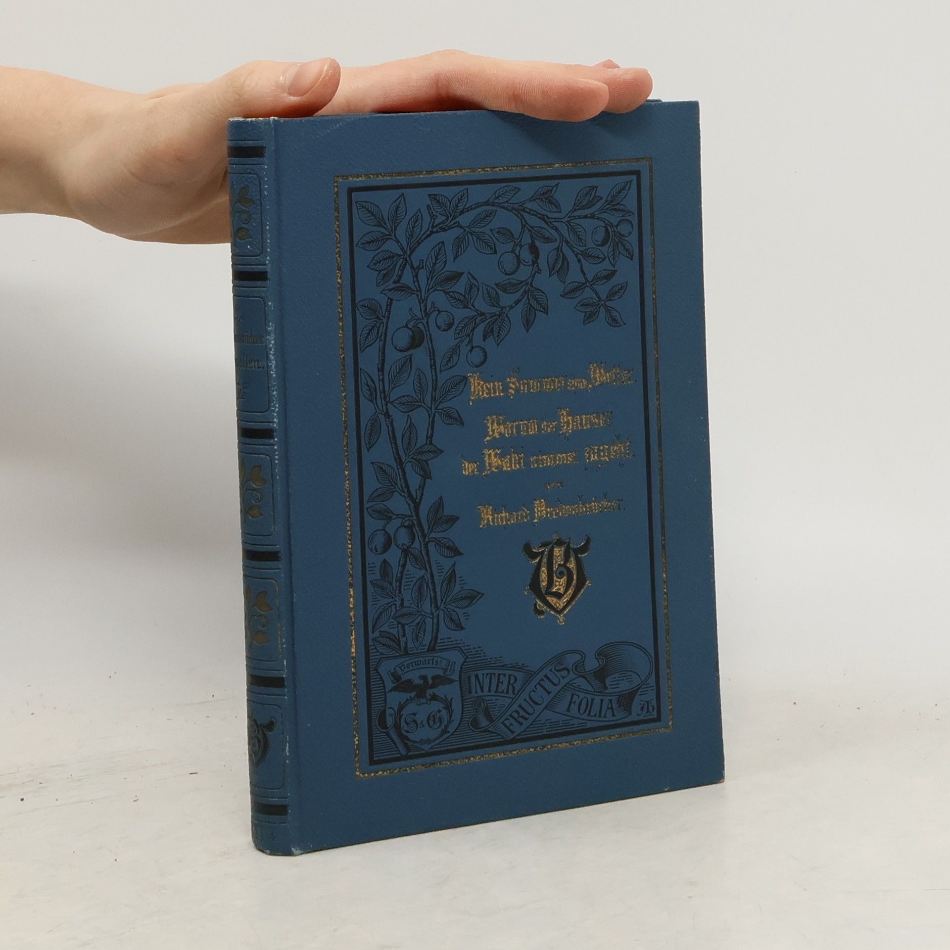 Richard Bredenbrücker Kein Sommer ohne Wetter