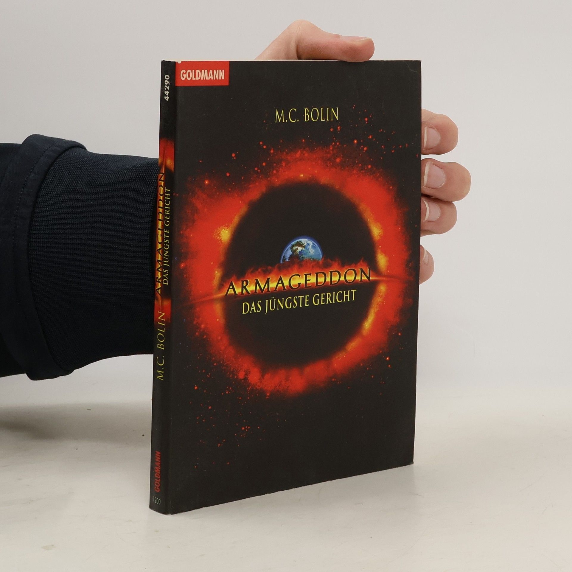 M. C. Bolin Armageddon - das jüngste Gericht