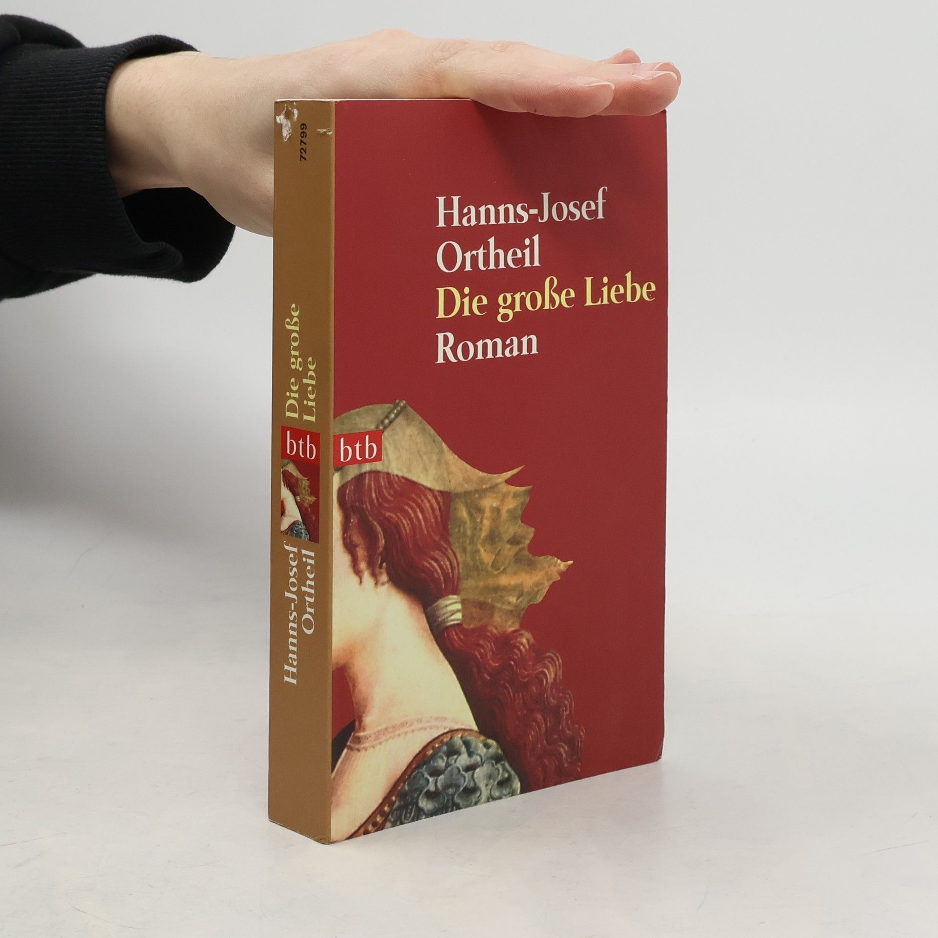 Hanns-Josef Ortheil Die große Liebe : Roman
