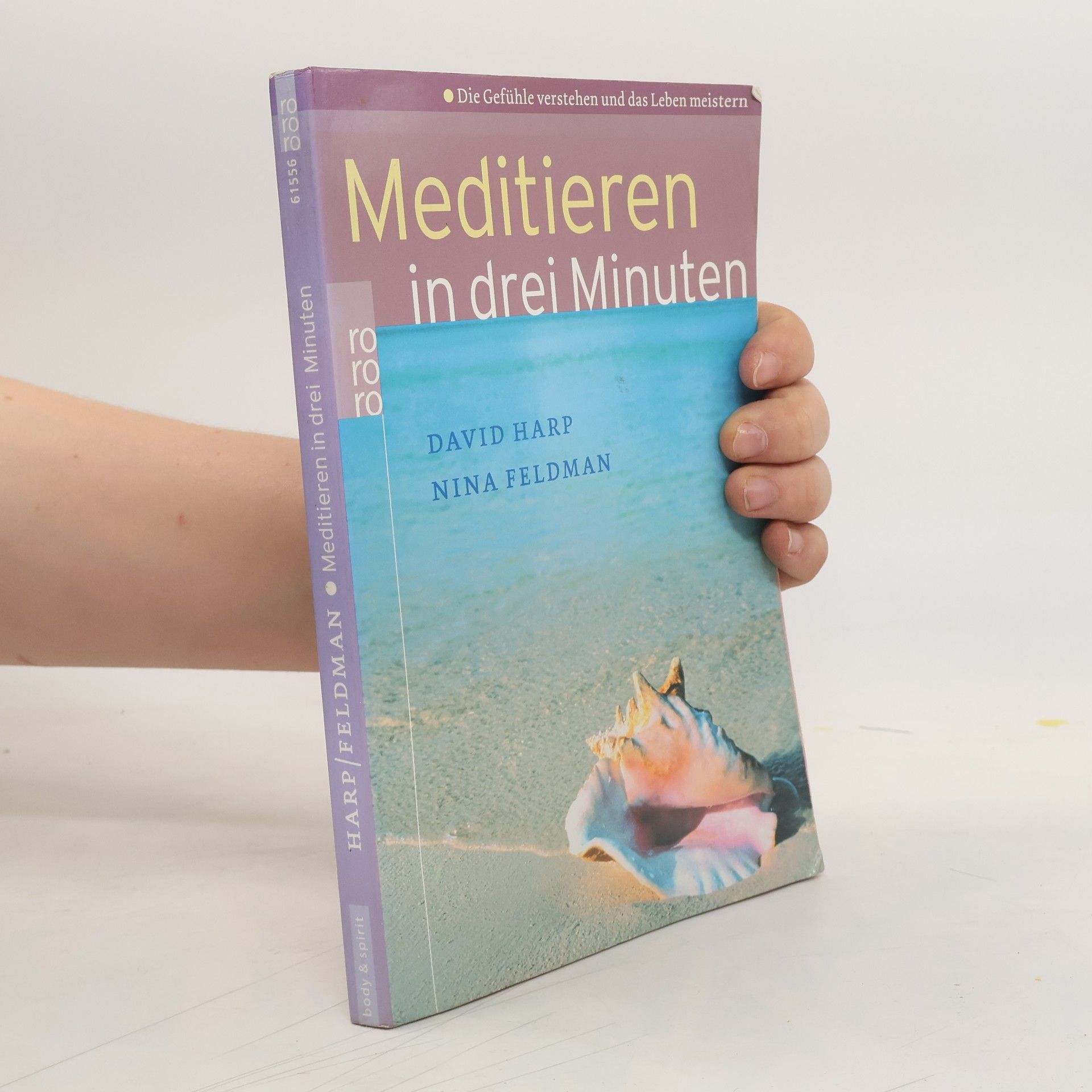 David Harp Meditieren in drei Minuten