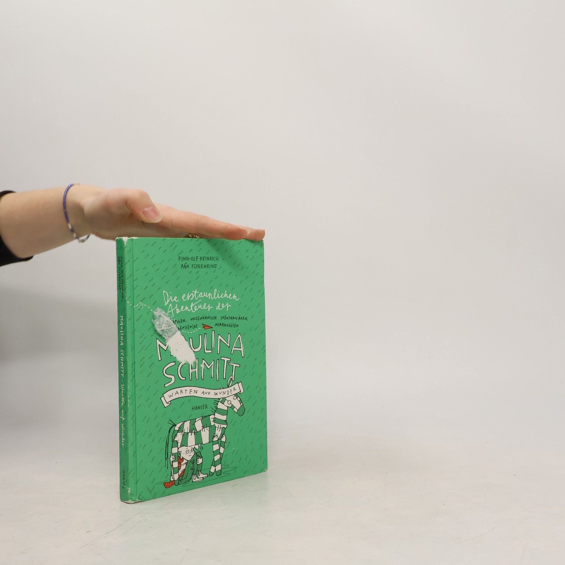 Die erstaunlichen Abenteuer der Maulina Schmitt - Warten auf Wunder