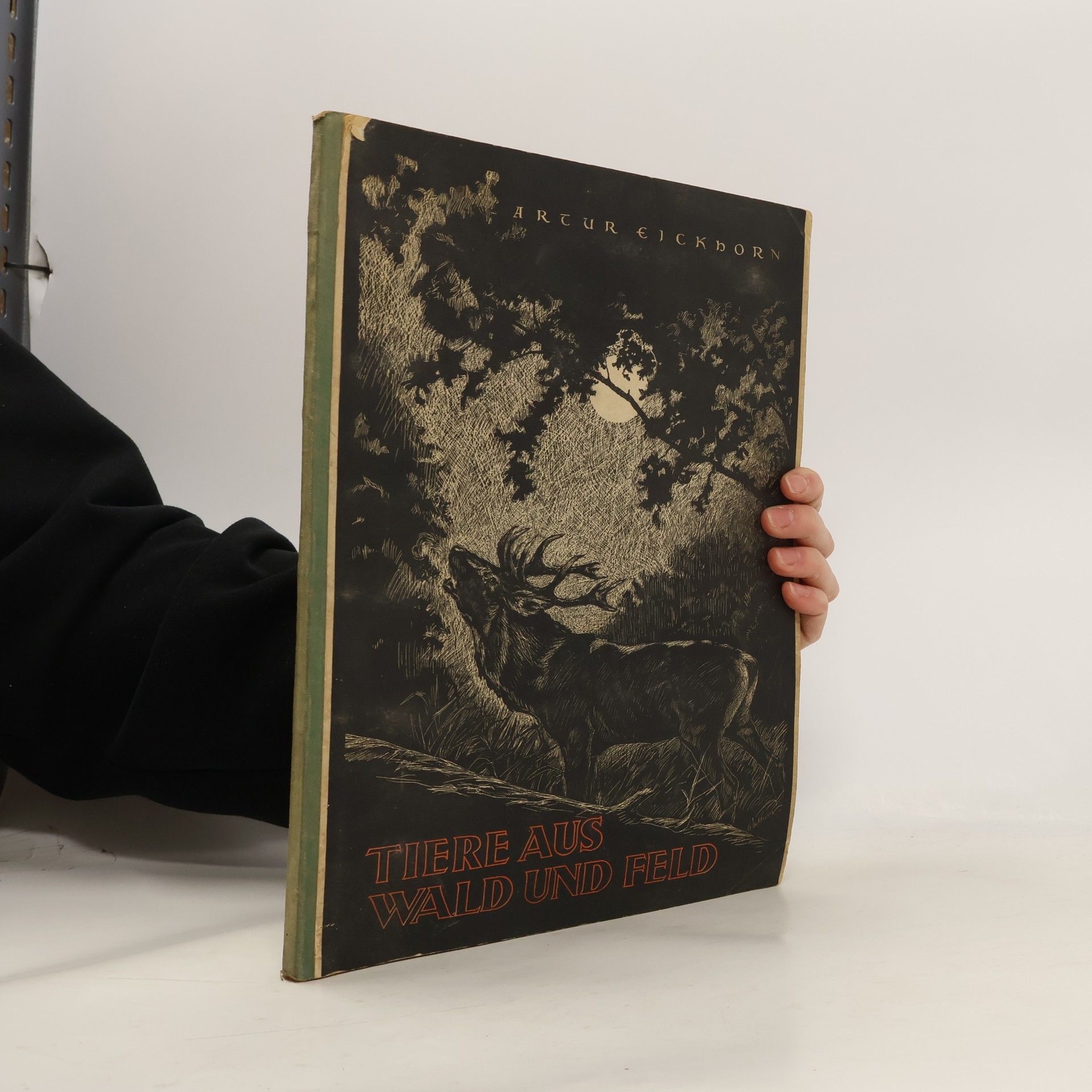 Artur Eickhorn Tiere aus Wald und Feld