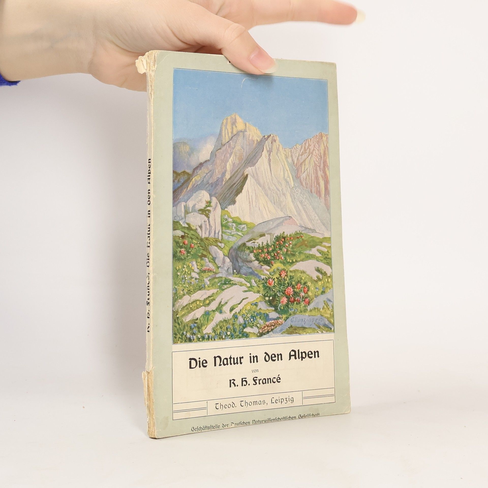 Raoul Heinrich Francé Die Natur in den Alpen