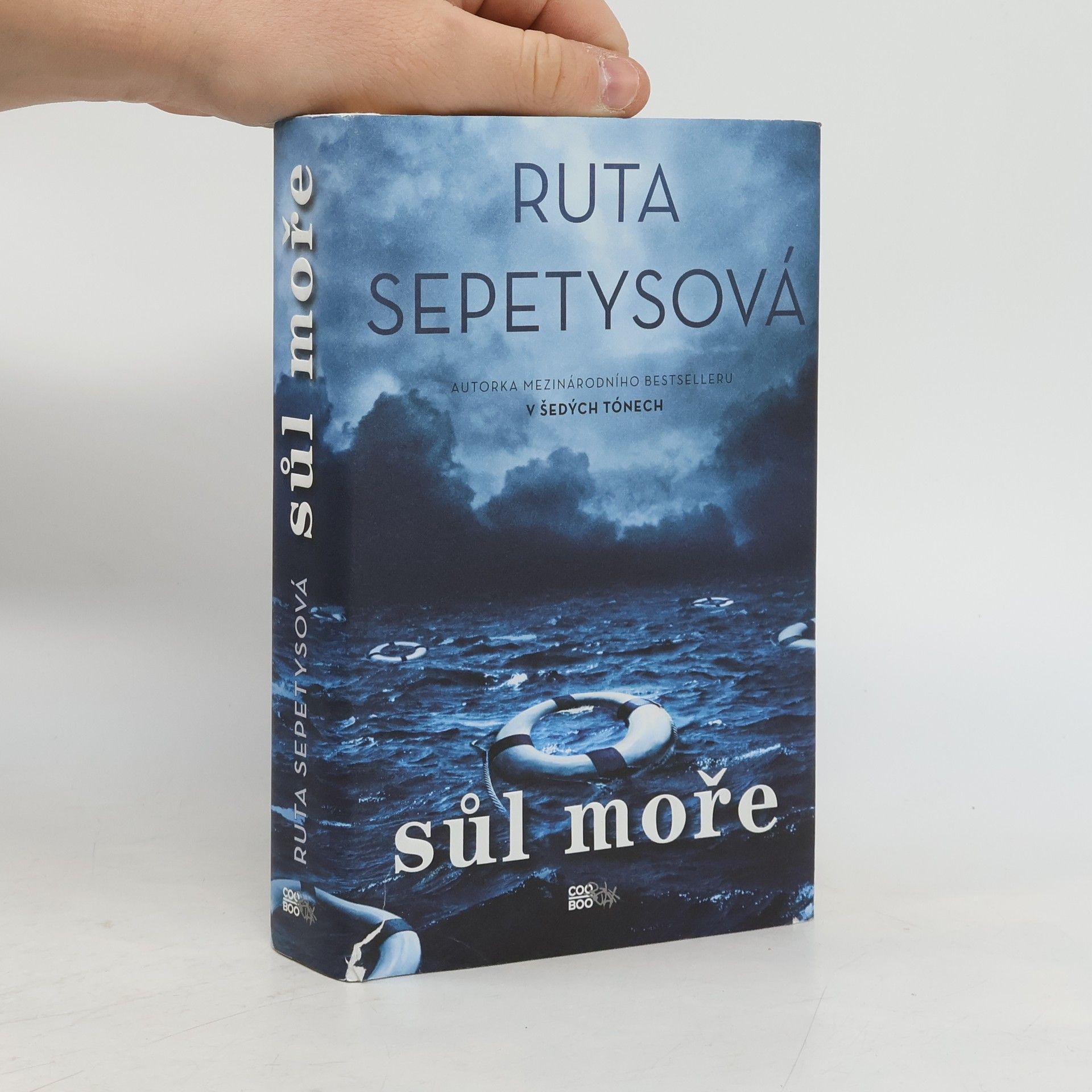 Ruta Sepetys Sůl moře