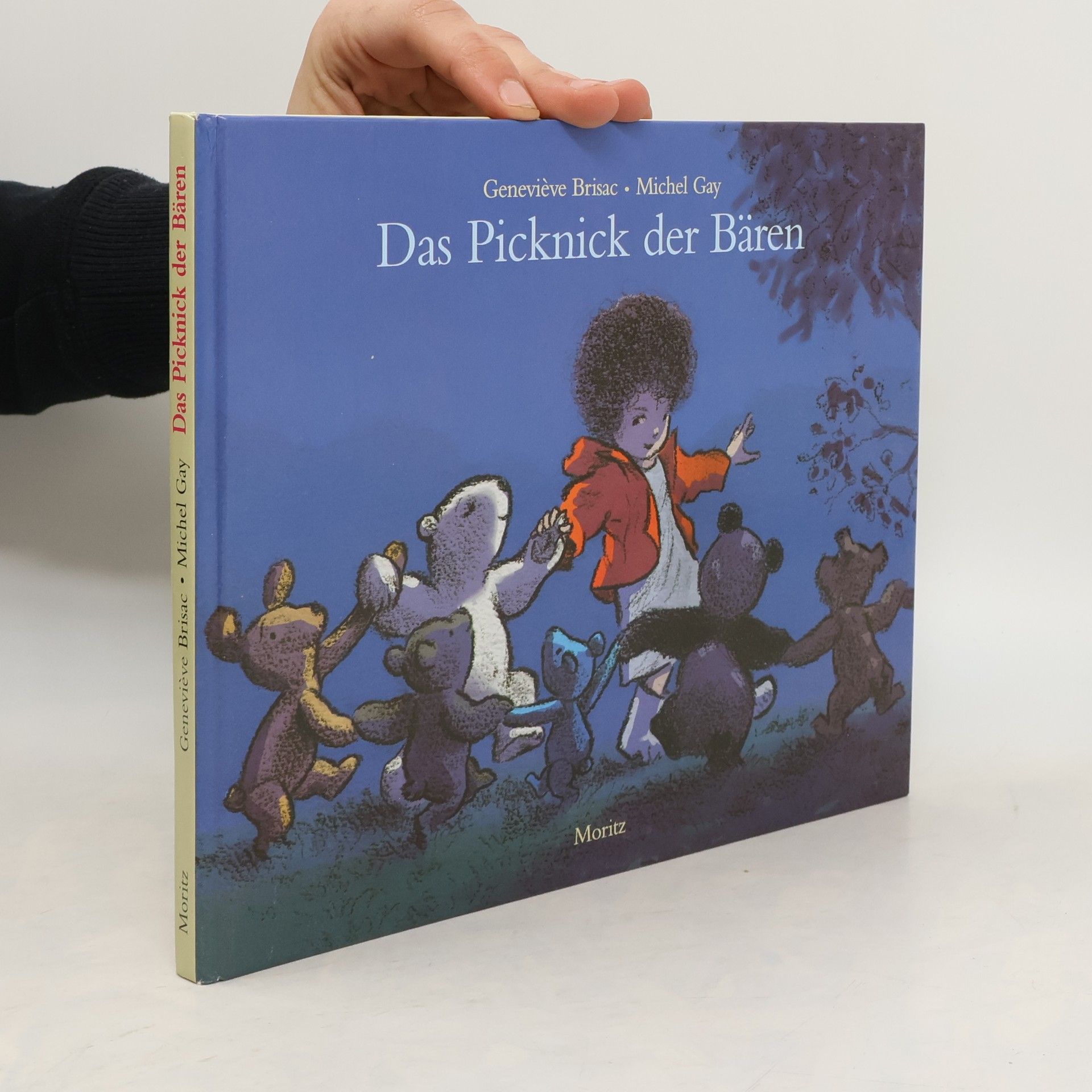 Geneviève Brisac Das Picknick der Bären