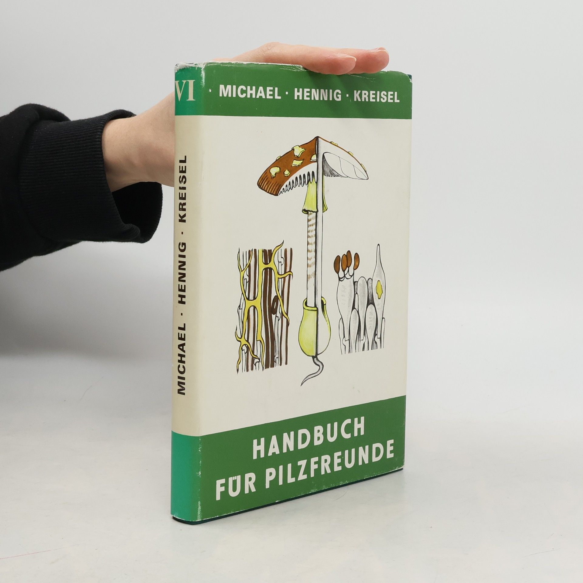 Autores varios Handbuch für Pilzfreunde VI.