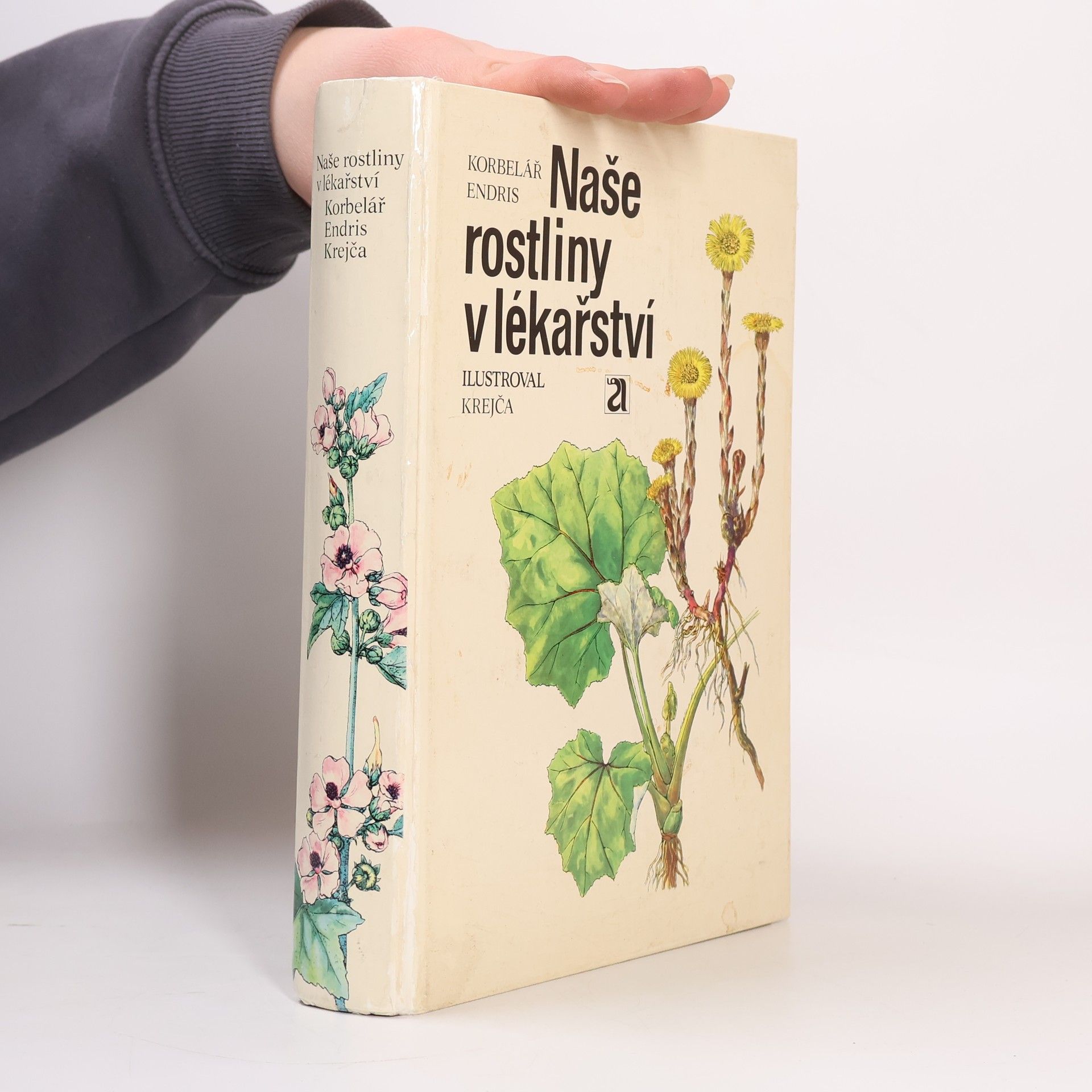 Jaroslav Korbelář Naše rostliny v lékařství