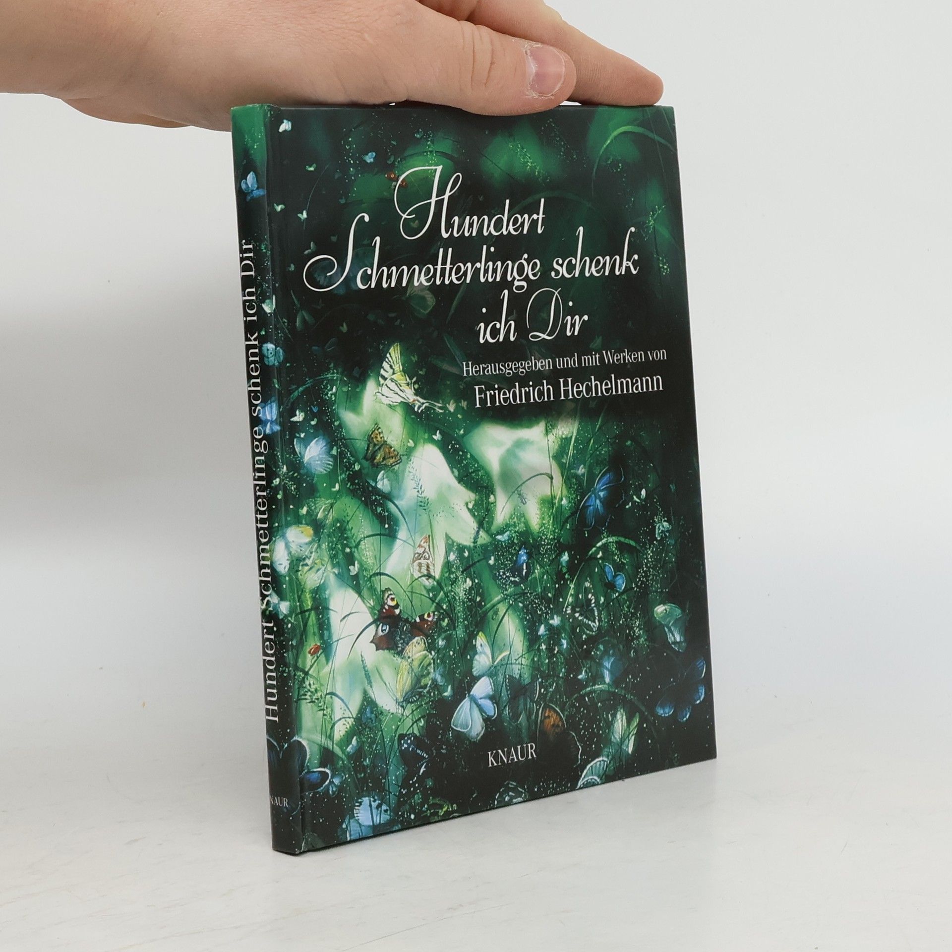 Friedrich Hechelmann Hundert Schmetterlinge schenk ich dir. Herausgegeben und mit Werken von Friedrich Hechelmann