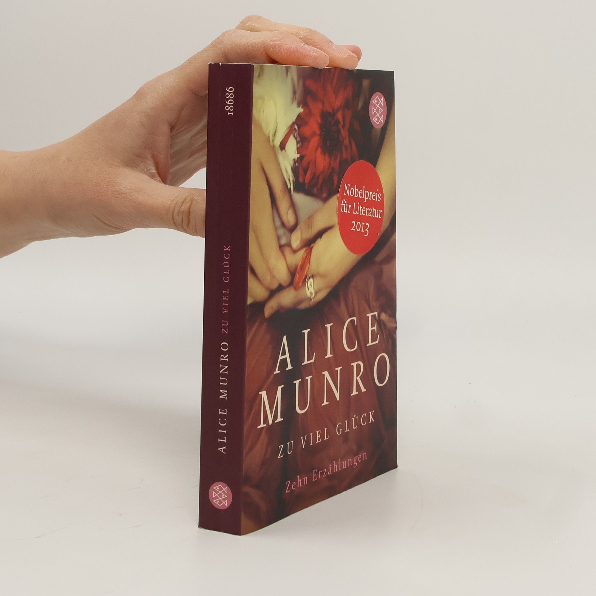 Zu viel Glück. zehn erzählungen