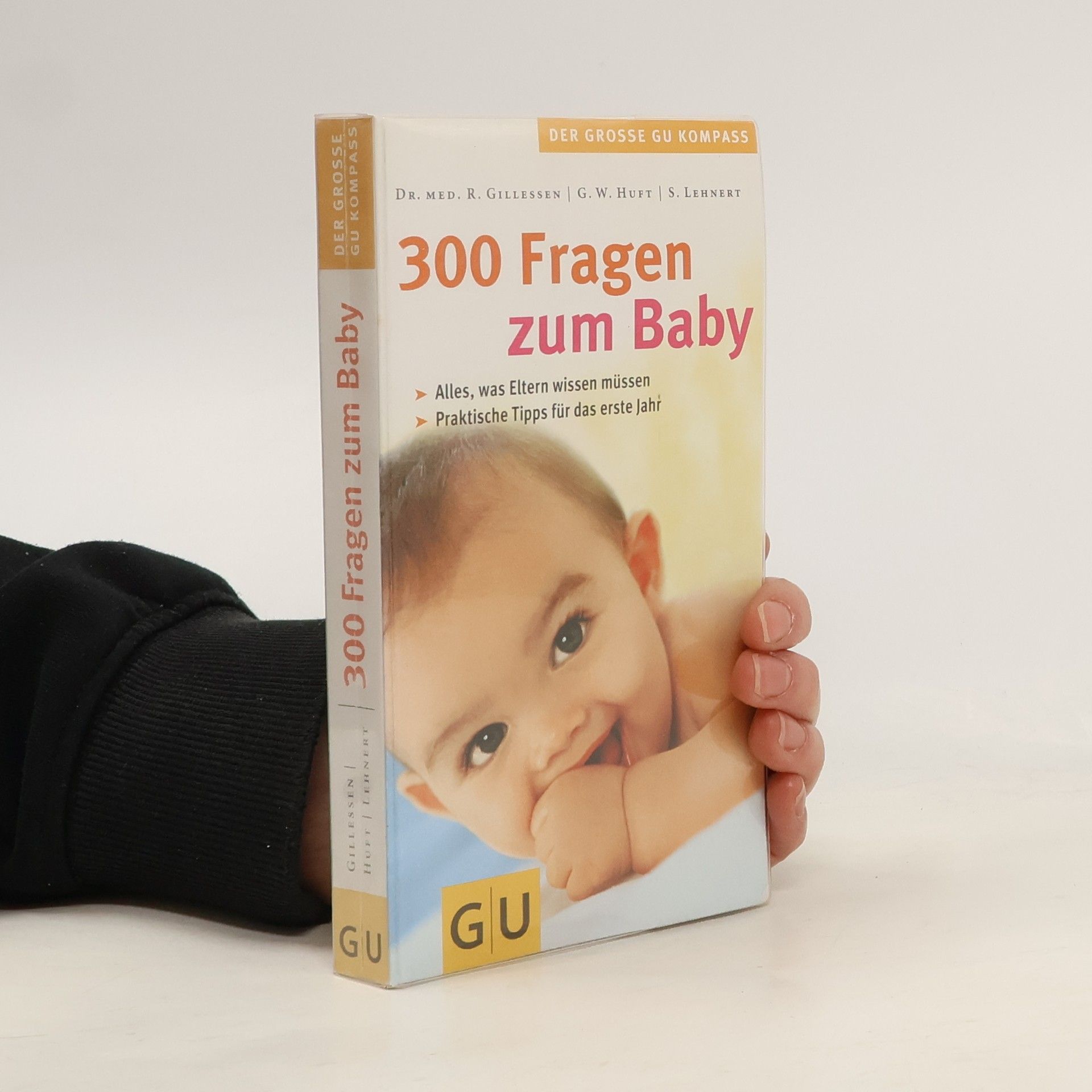 Rainer Gillesen 300 Fragen zum Baby