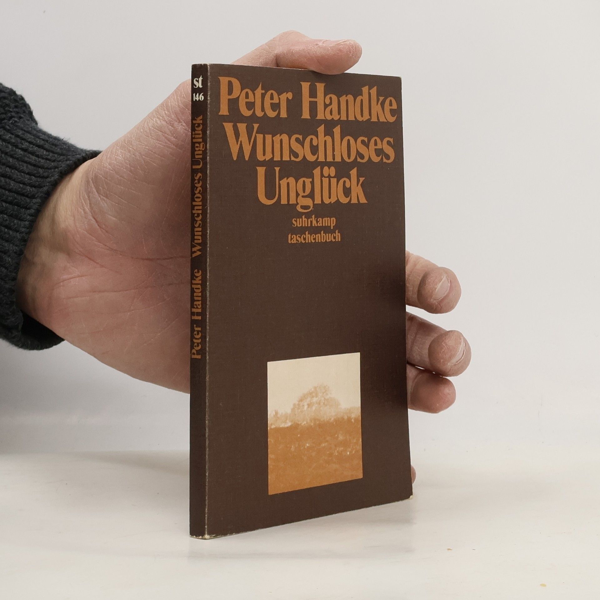 Peter Handke Wunschloses Unglück
