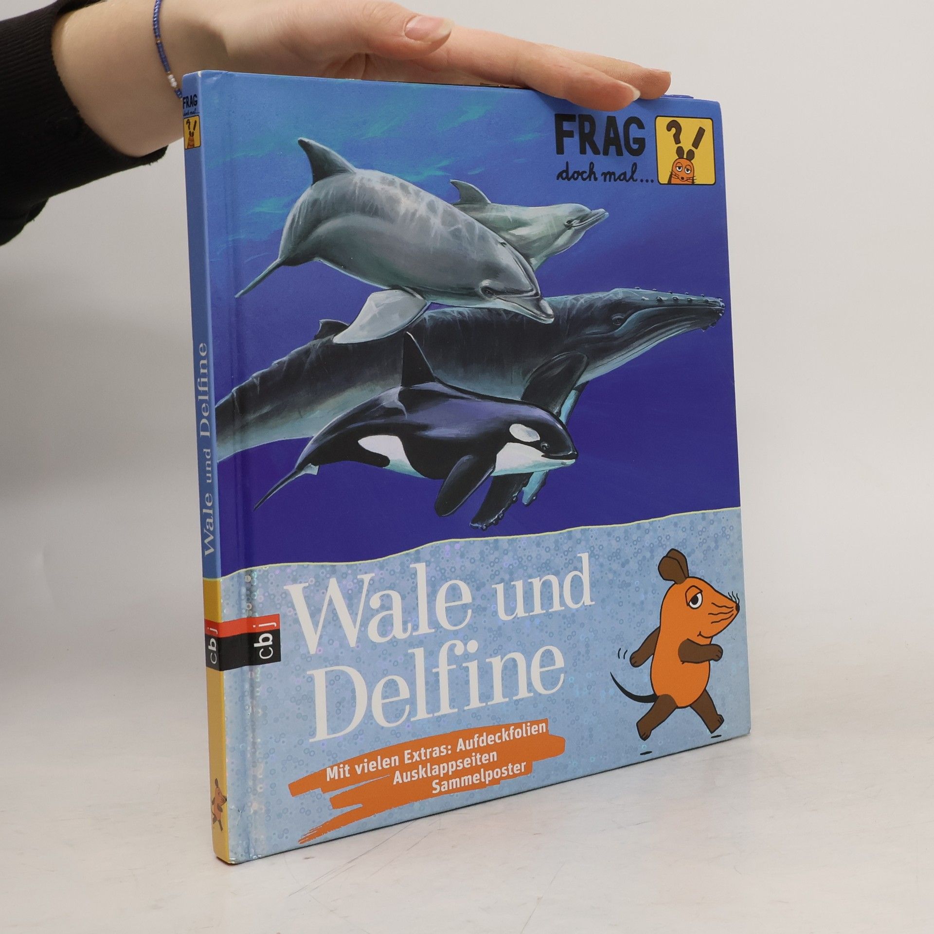 Sylvia Englert Wale und Delfine