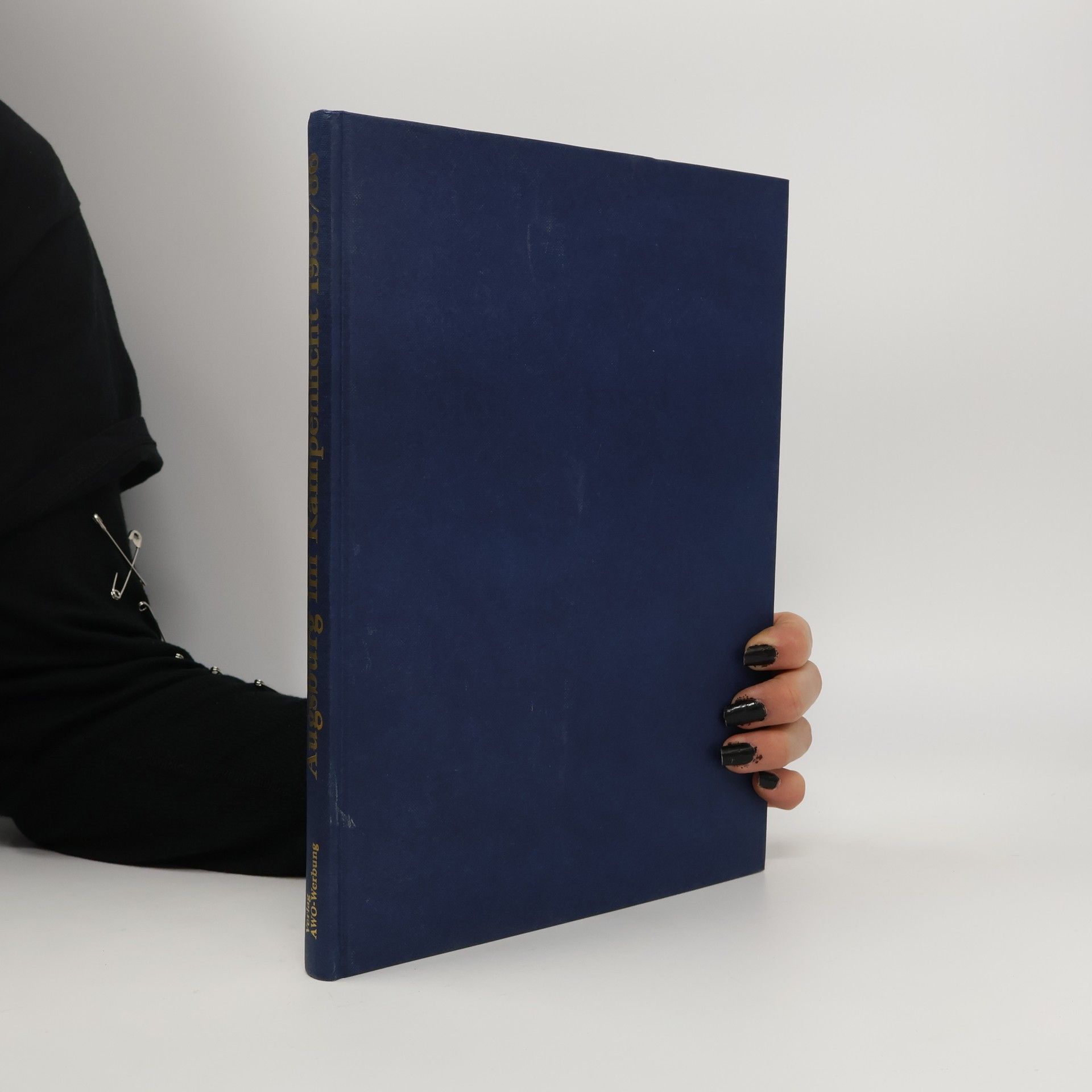 Autores varios Augsburg im Rampenlicht 1985/86