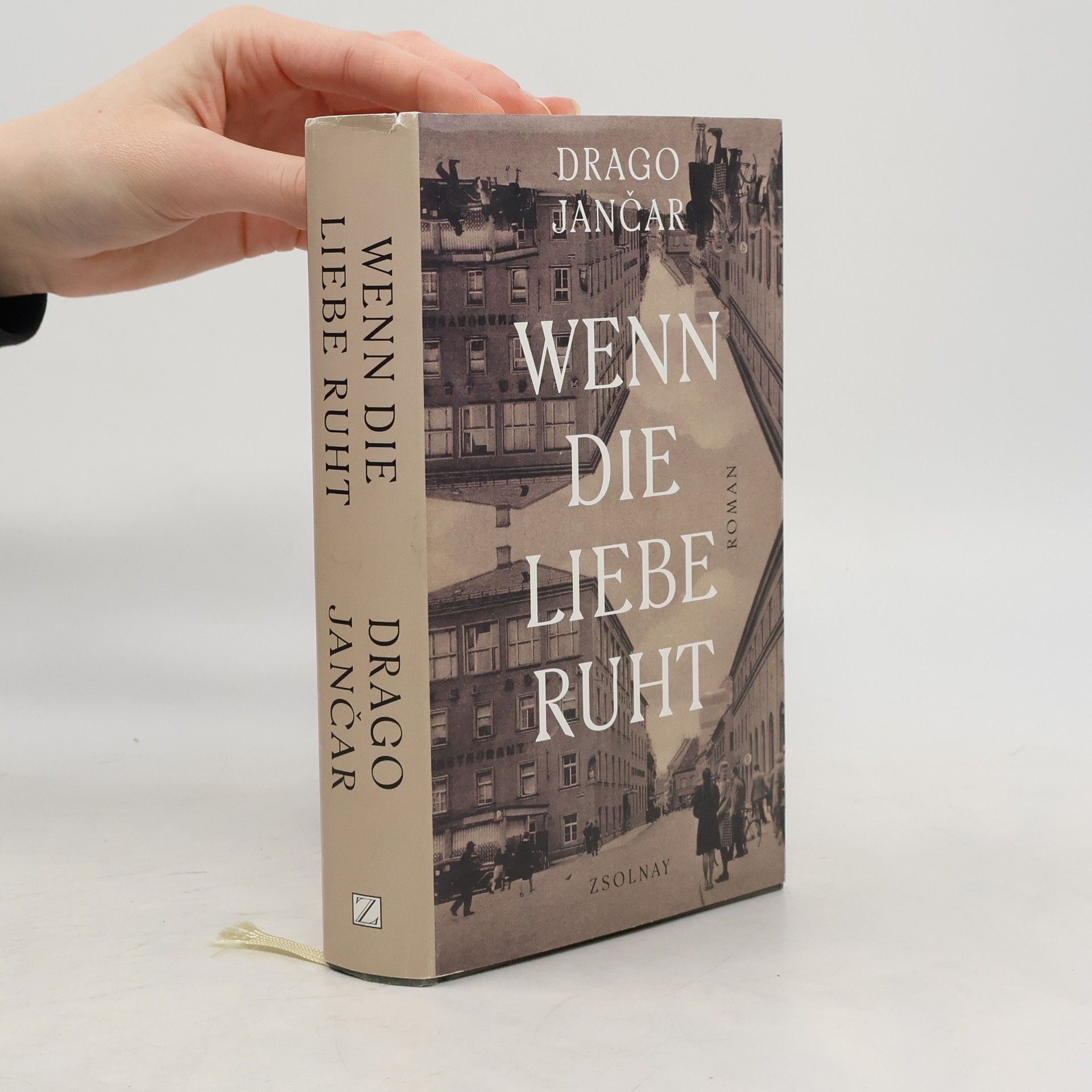 Drago Jančar Wenn die Liebe ruht