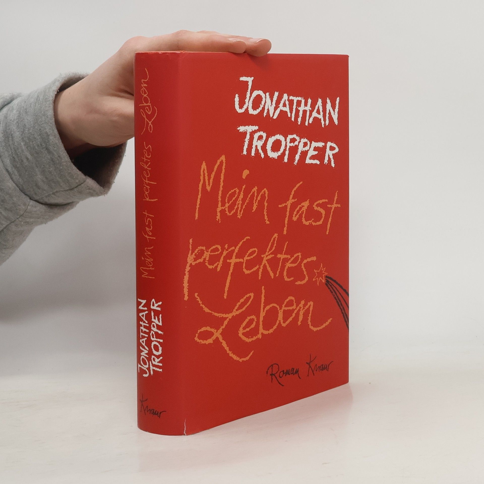 Jonathan Tropper Mein fast perfektes Leben