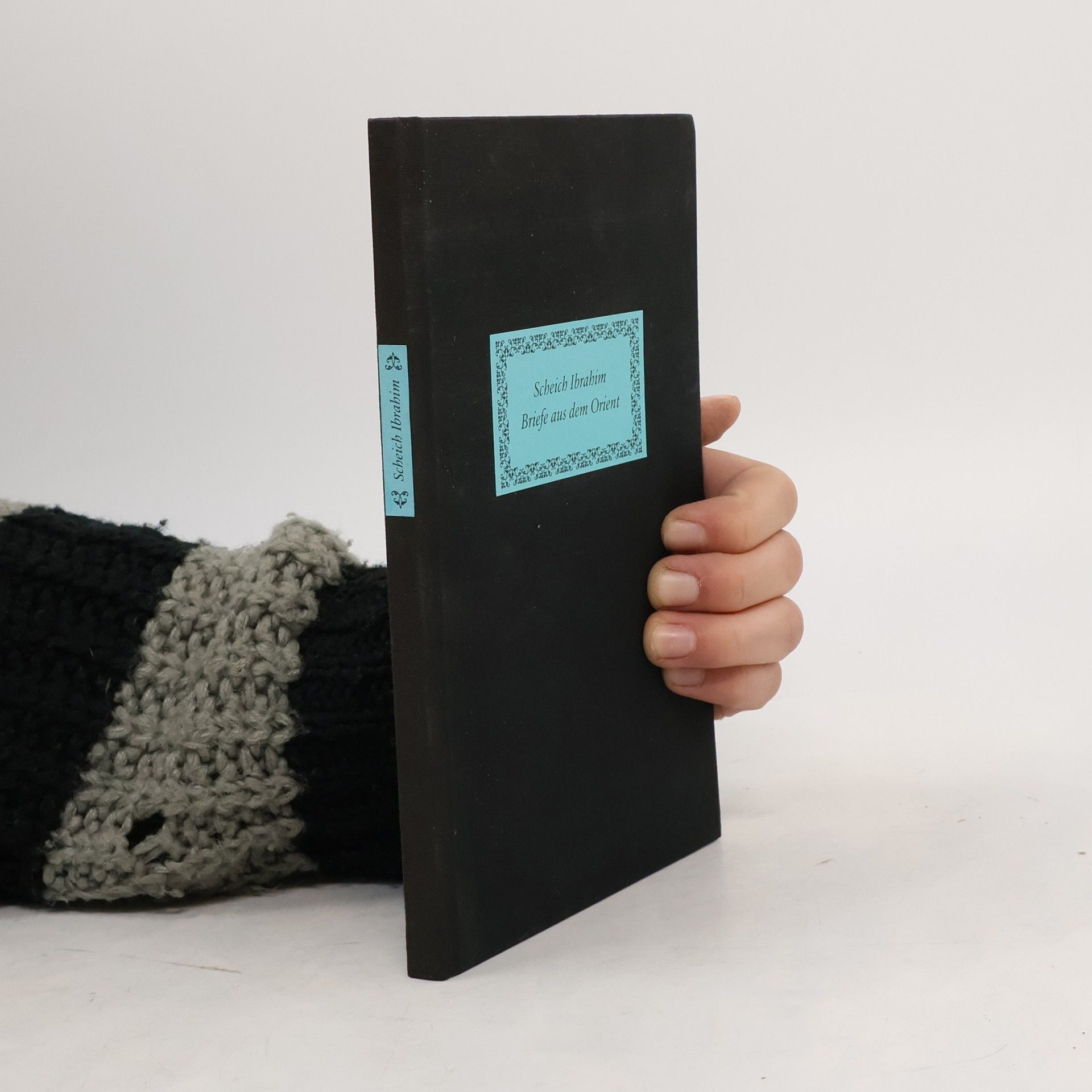 Ibrahim Scheich Briefe aus dem Orient