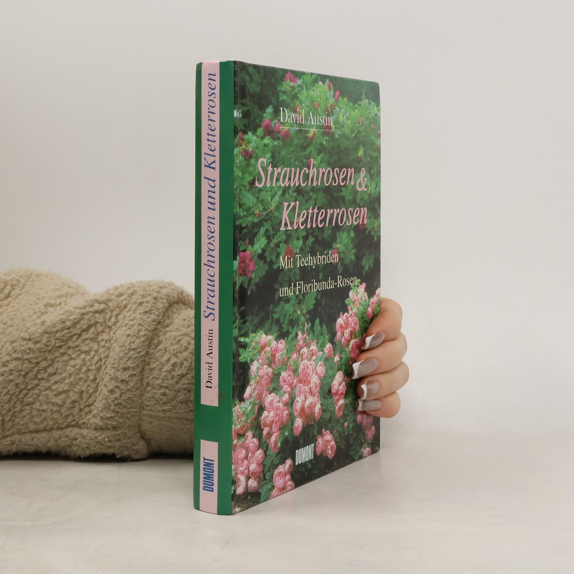 Strauchrosen und Kletterrosen. Mit Teehybriden und Floribunda- Rosen