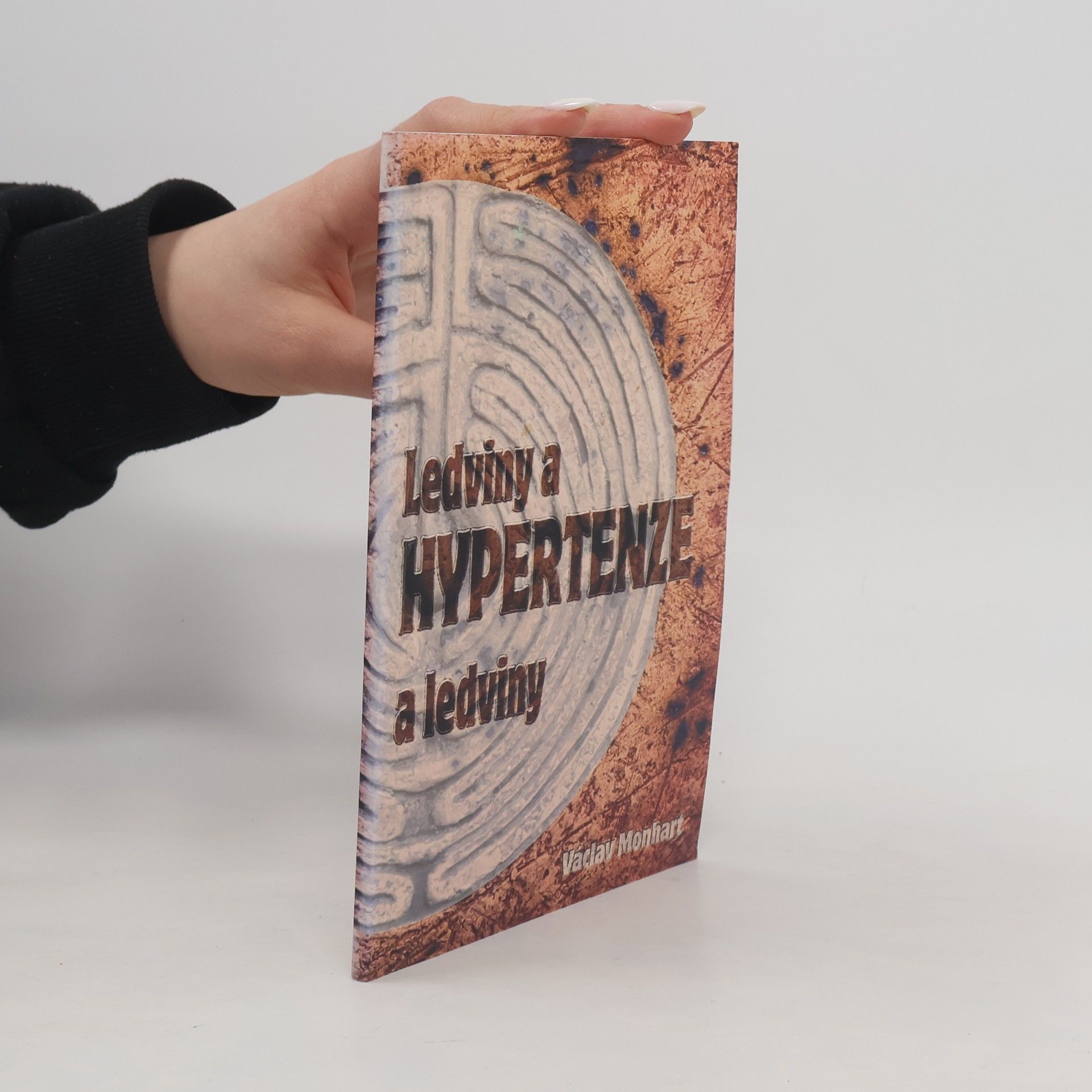 Ledviny a hypertenze - hypertenze a ledviny