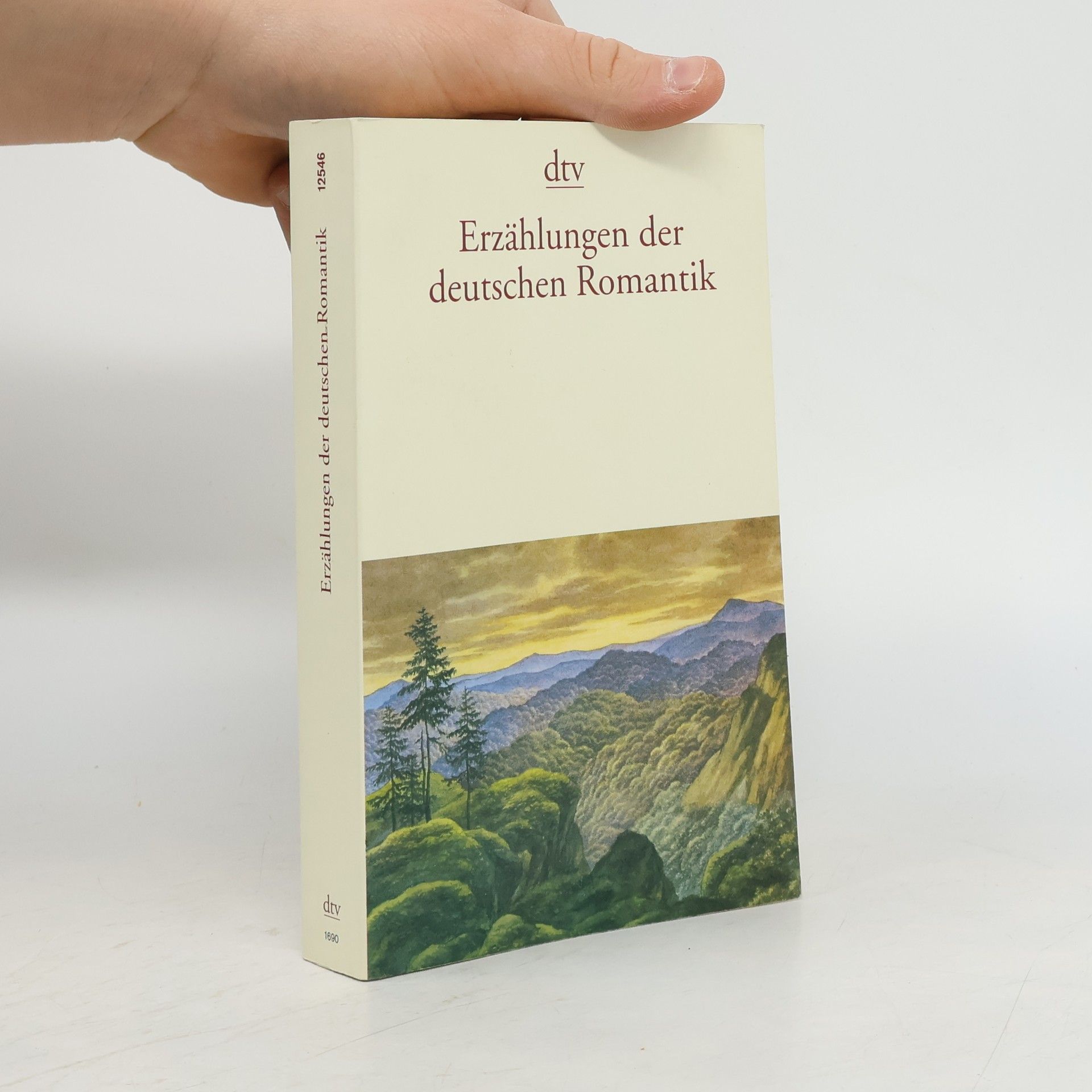 Albert Meier Erzählungen der deutschen Romantik