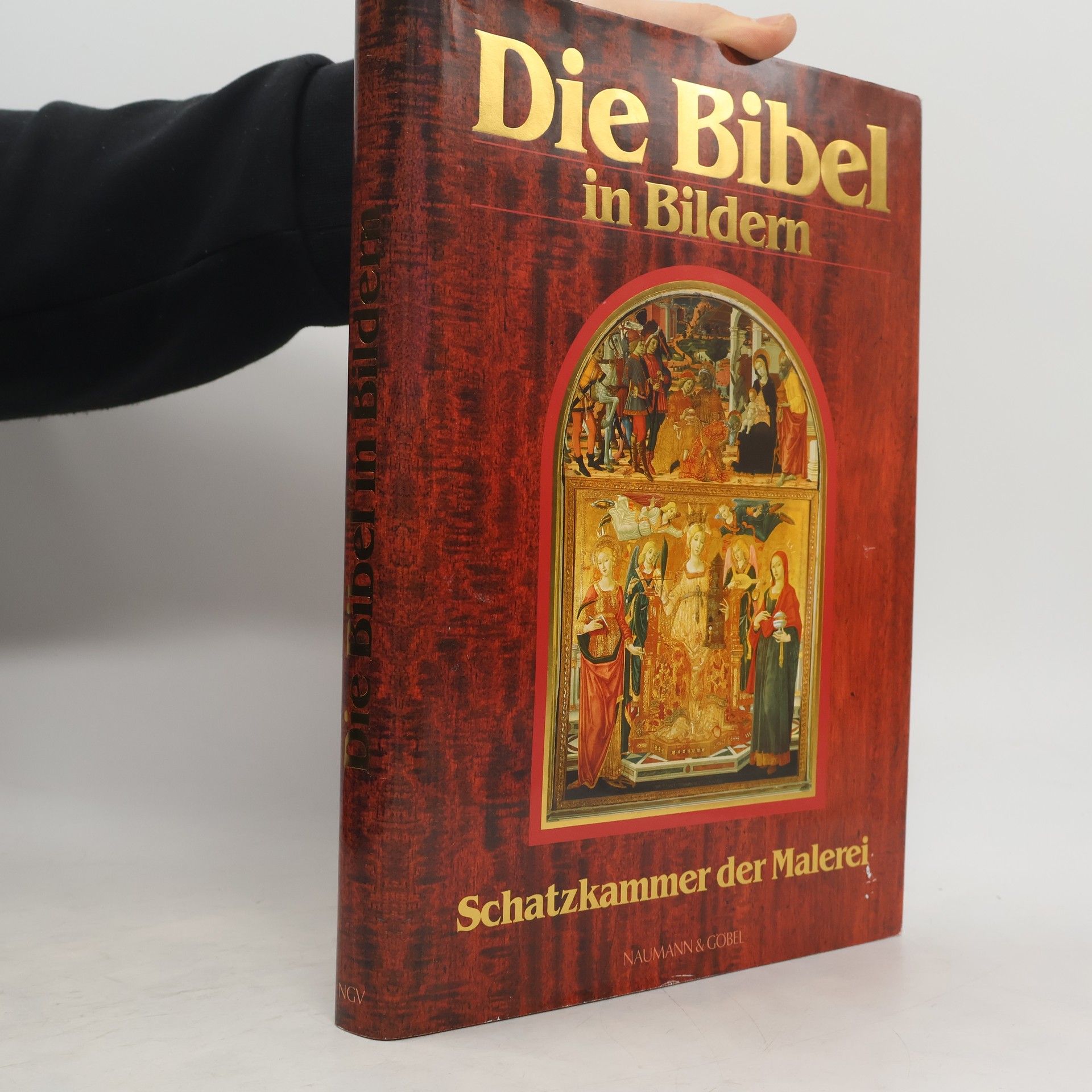 Autores varios Die Bibel in Bildern. Schatzkammer der Malerei