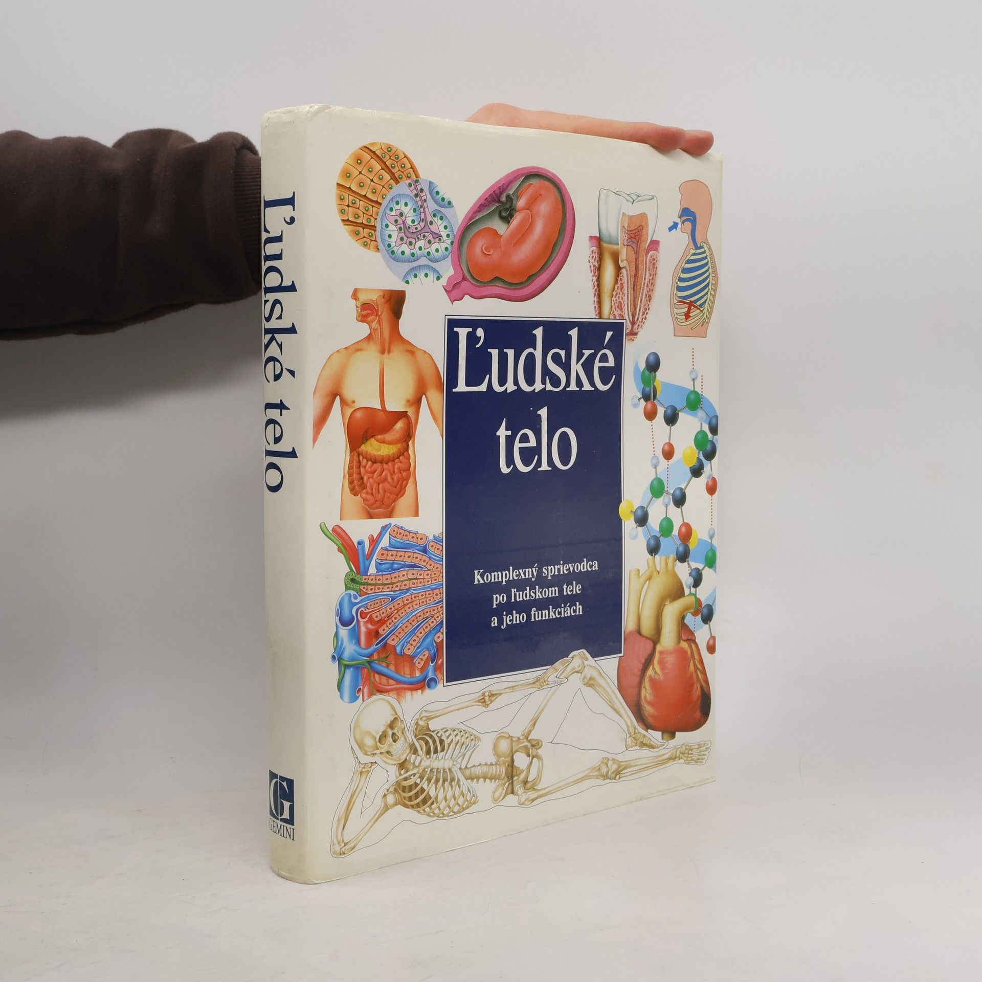 Autorenkollektiv Ľudské telo