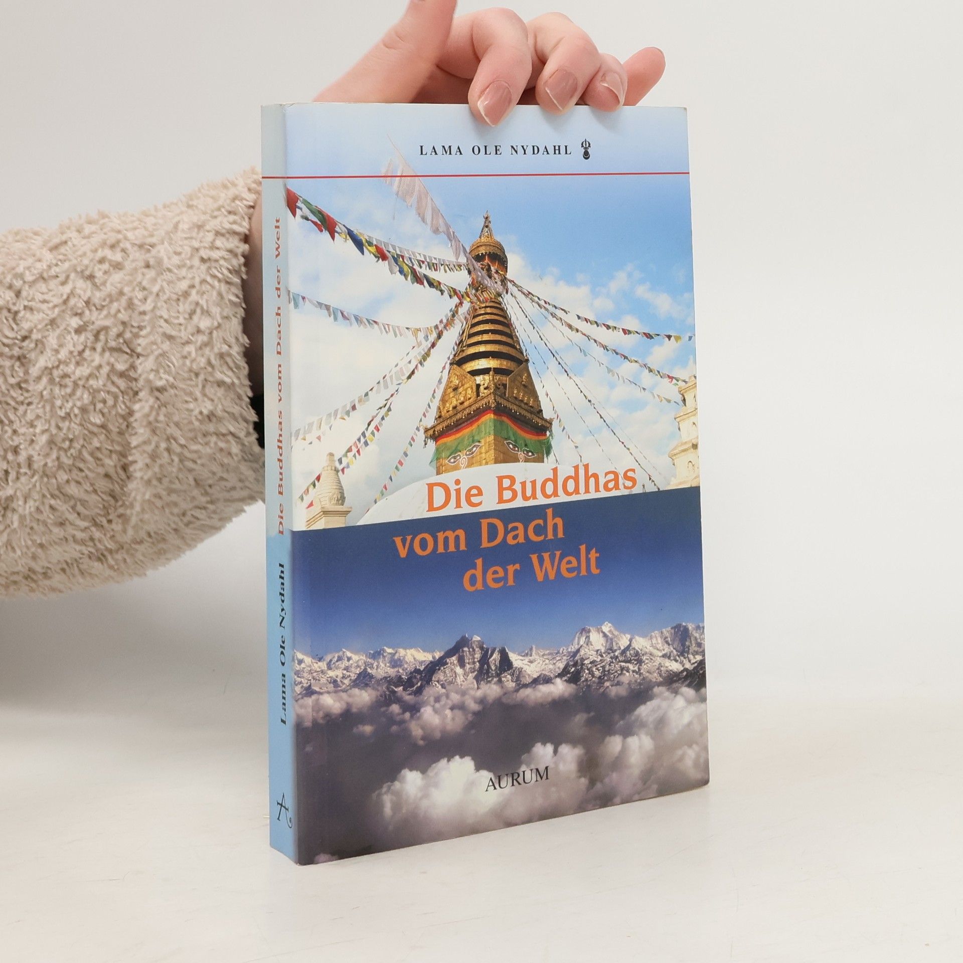 Die Buddhas vom Dach der Welt