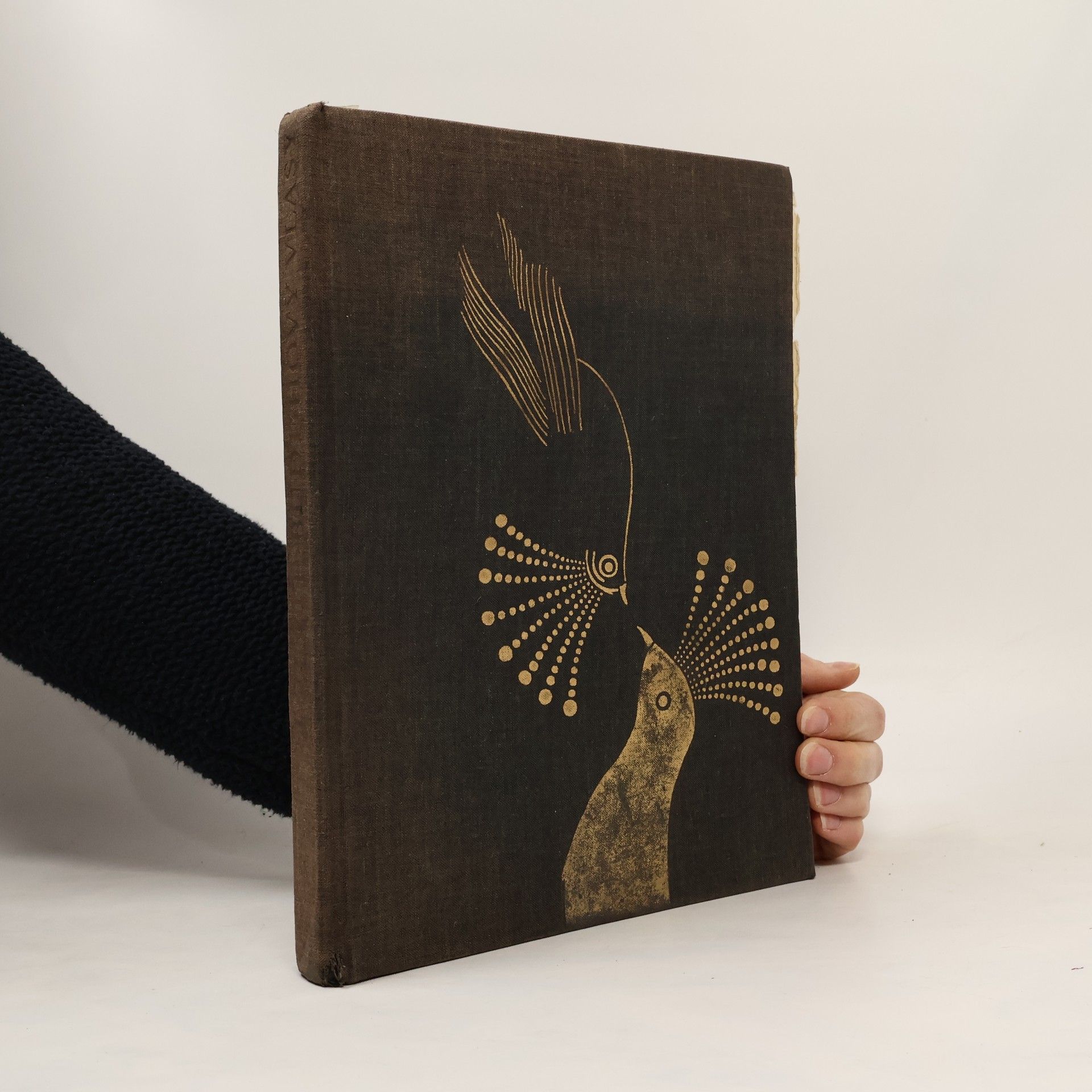 Dana Šťovíčková Tři zlaté Buddhovy vlasy a jiné čínské pohádky