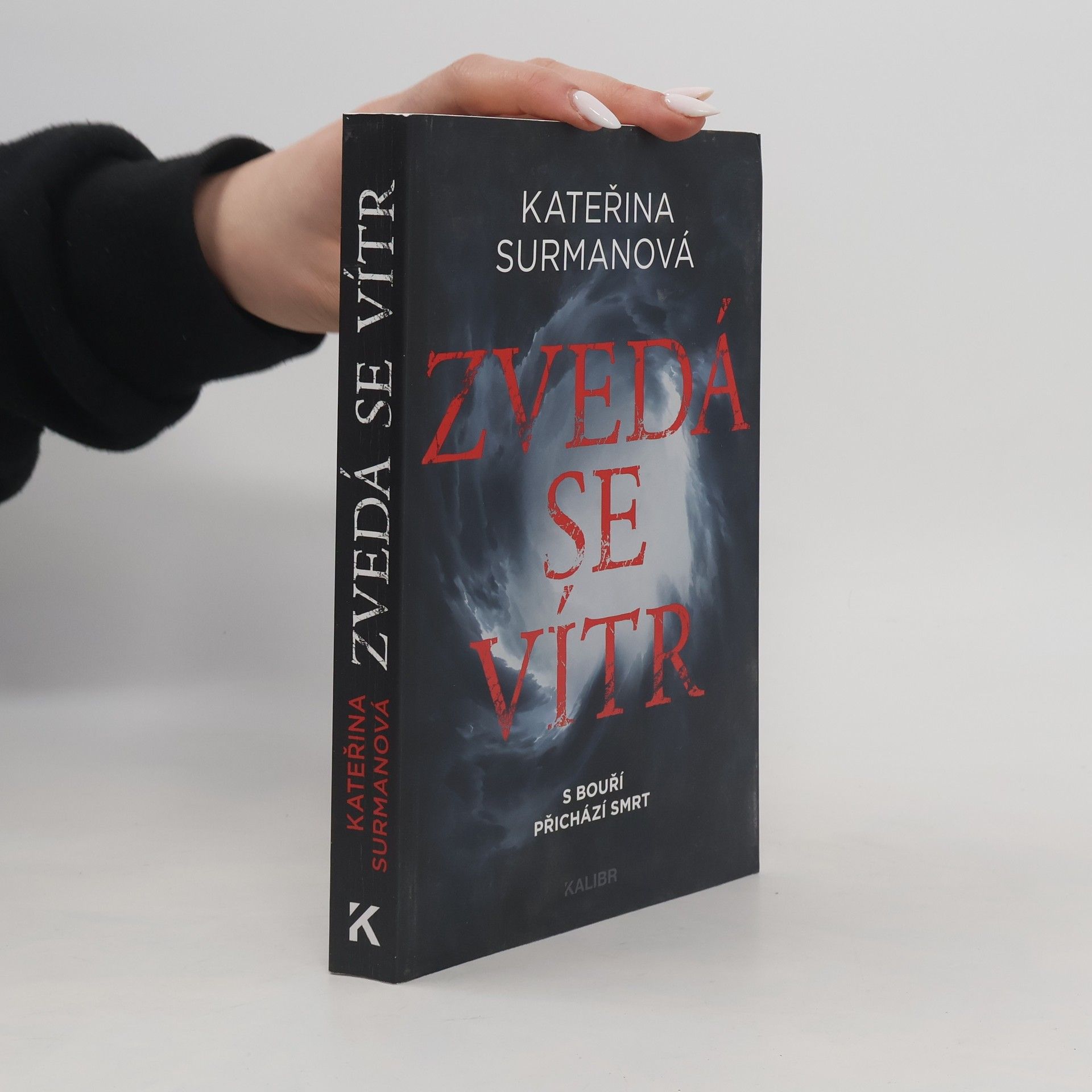 Kateřina Surmanová Zvedá se vítr