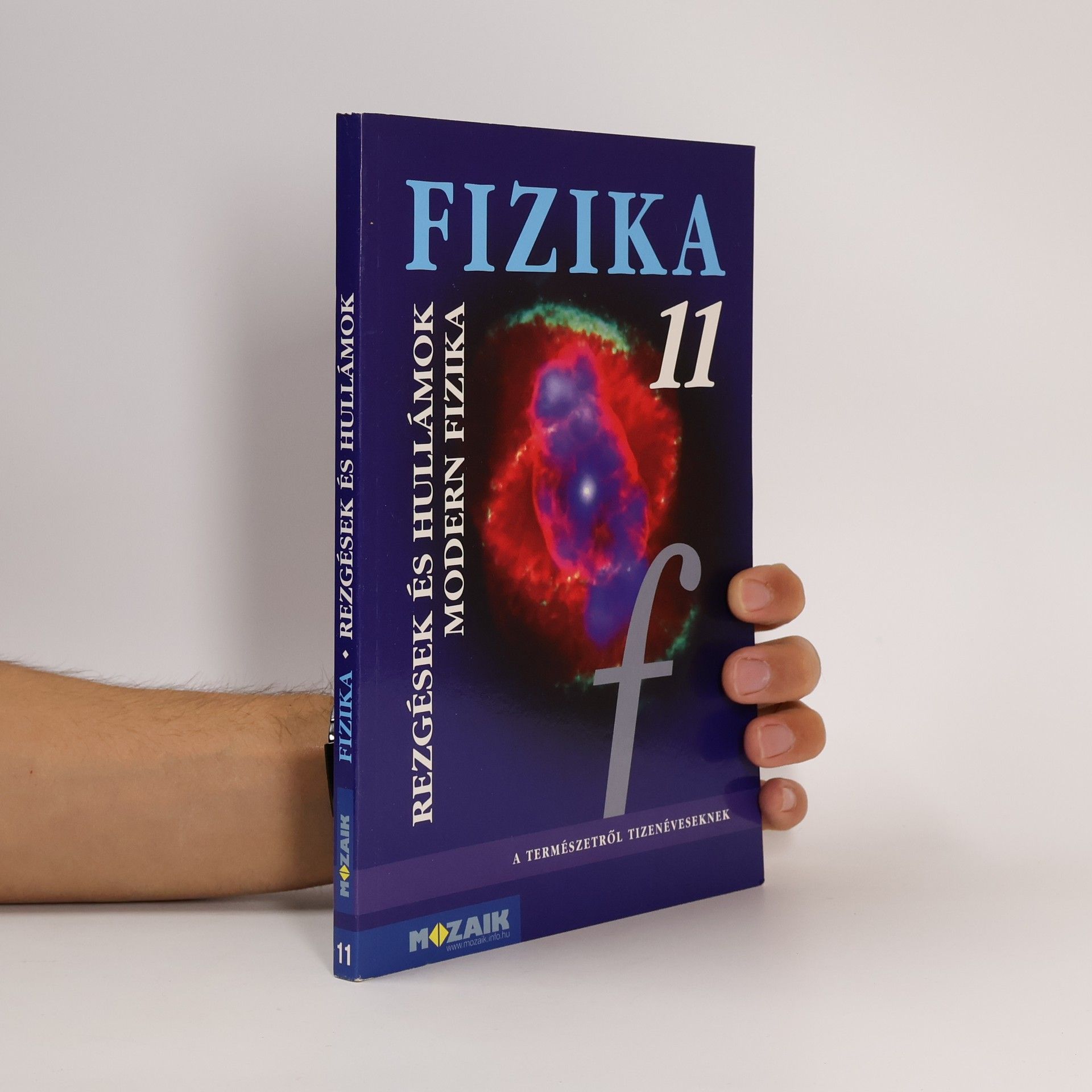 Auteurscollectief Fizika 11