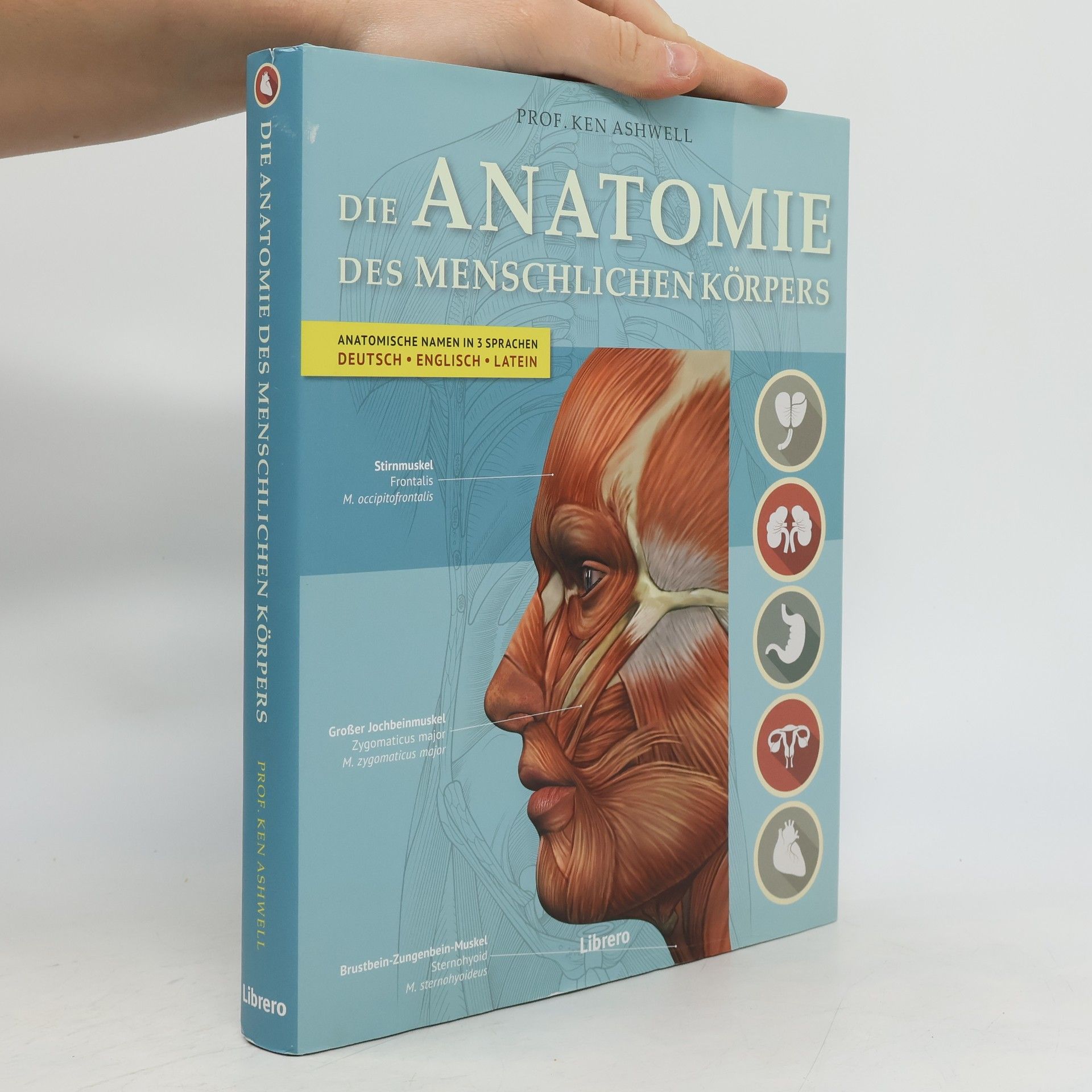 Die Anatomie des menschlichen Körpers