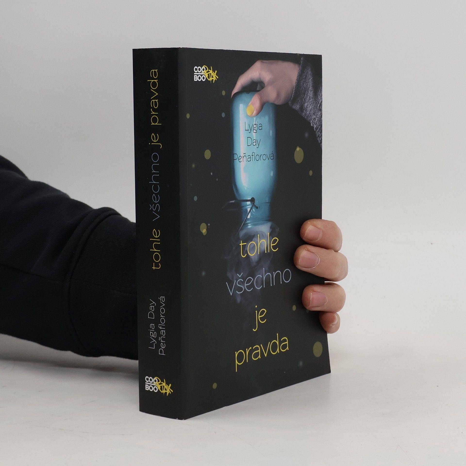 Lygia Day Peñaflor Tohle všechno je pravda