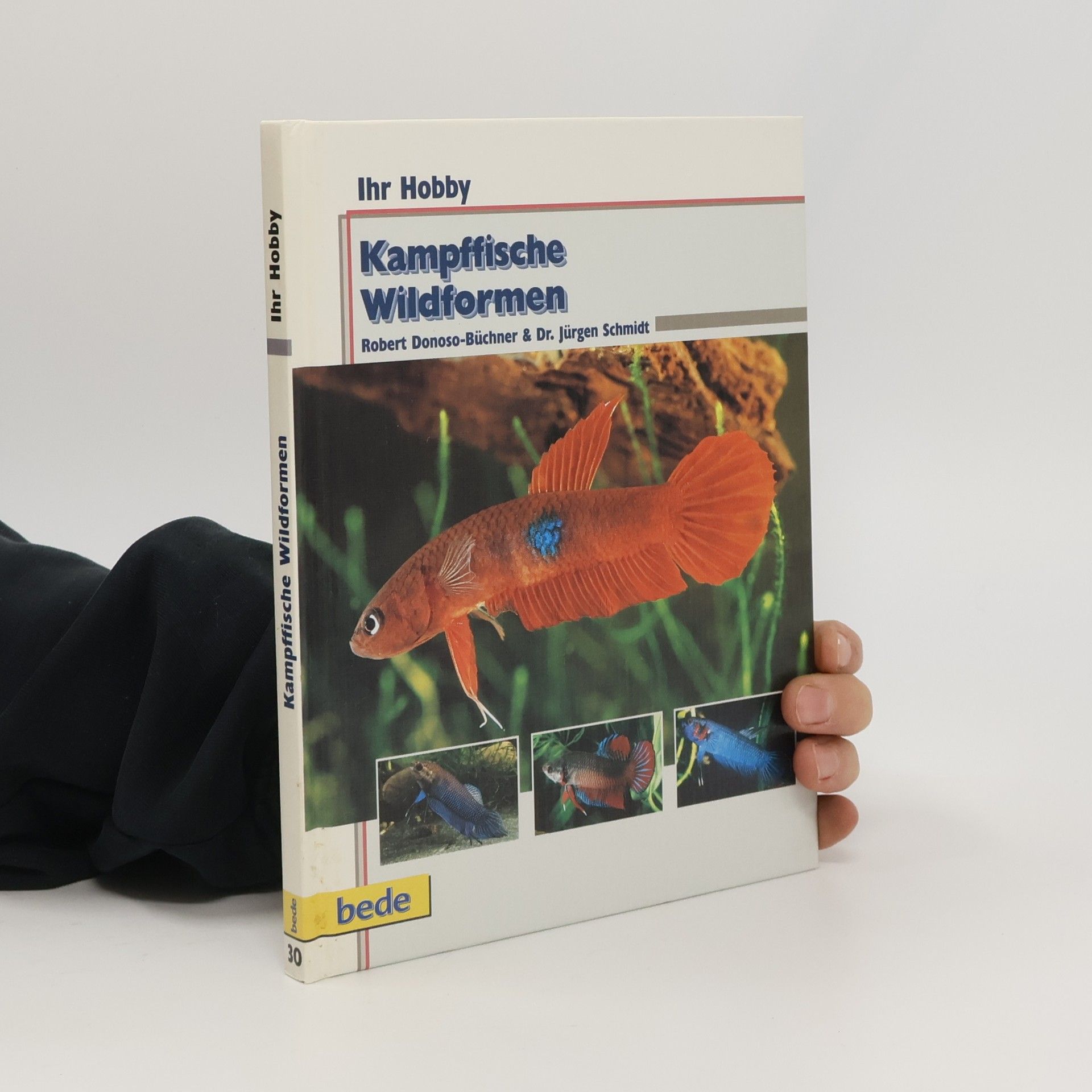 Robert Donoso-Büchner Kampffische - Wildformen