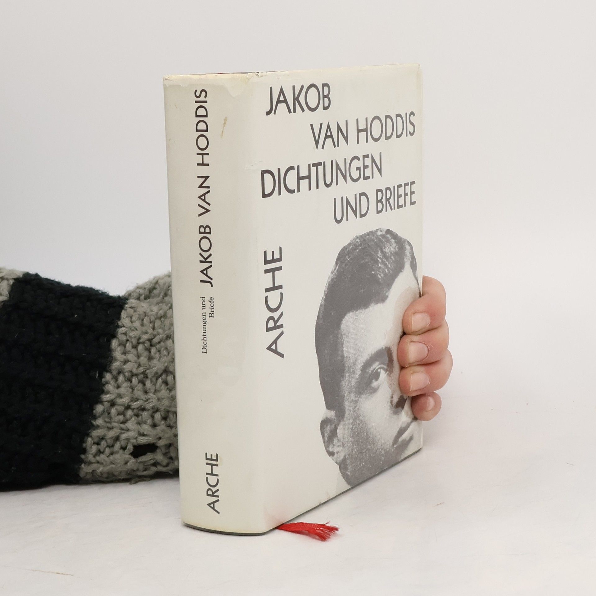 Jakob van Hoddis Dichtungen und Briefe