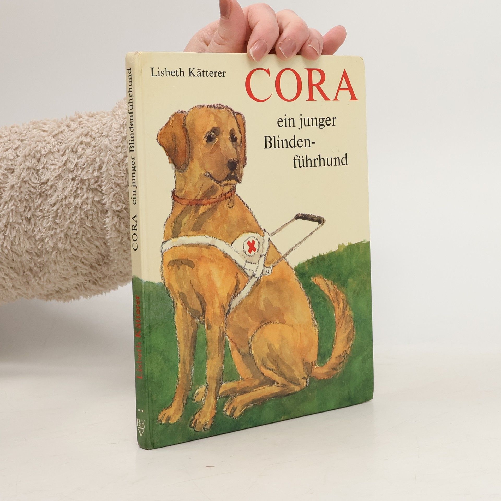Cora, ein junger Blindenführhund
