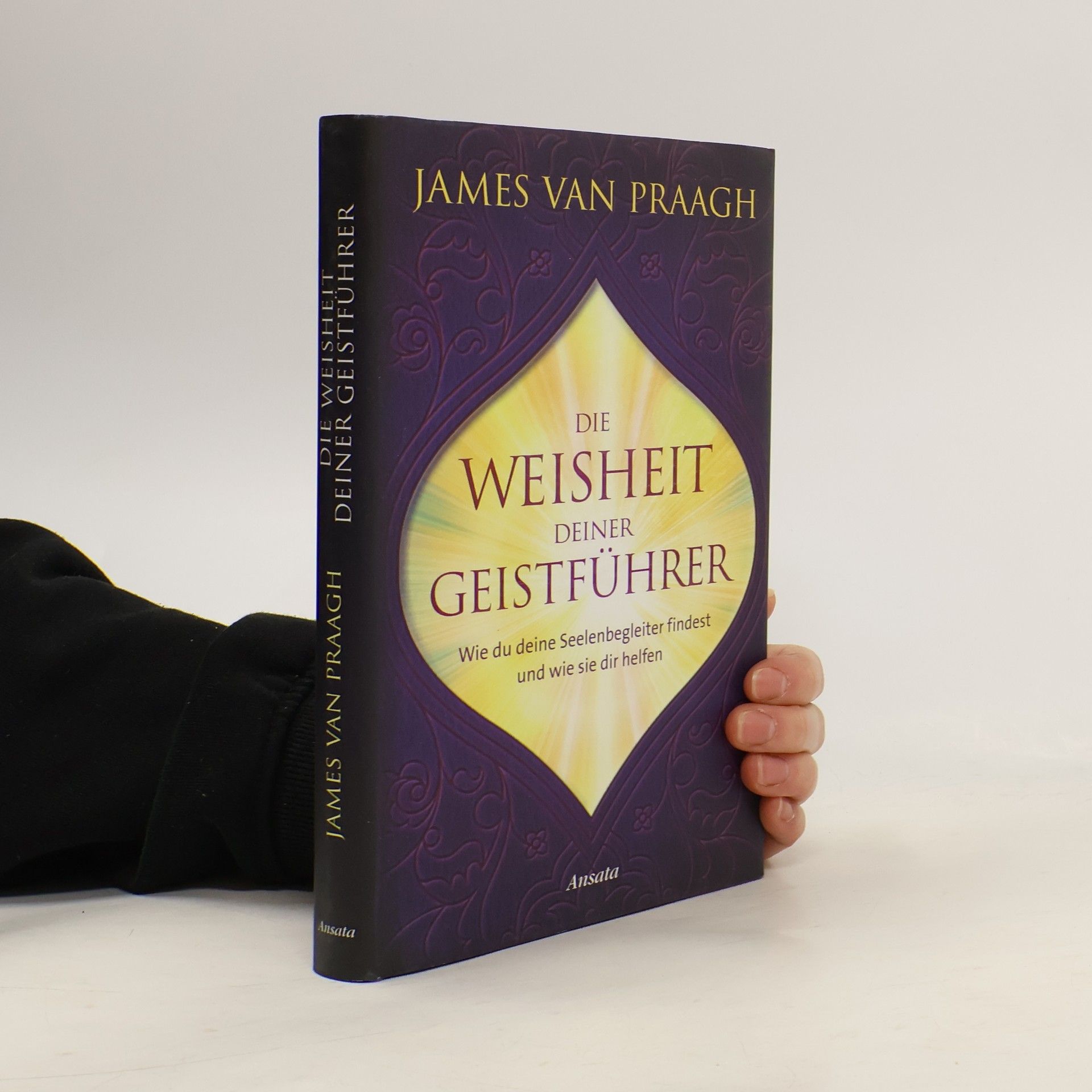 James Van Praagh Die Weisheit deiner Geistführer