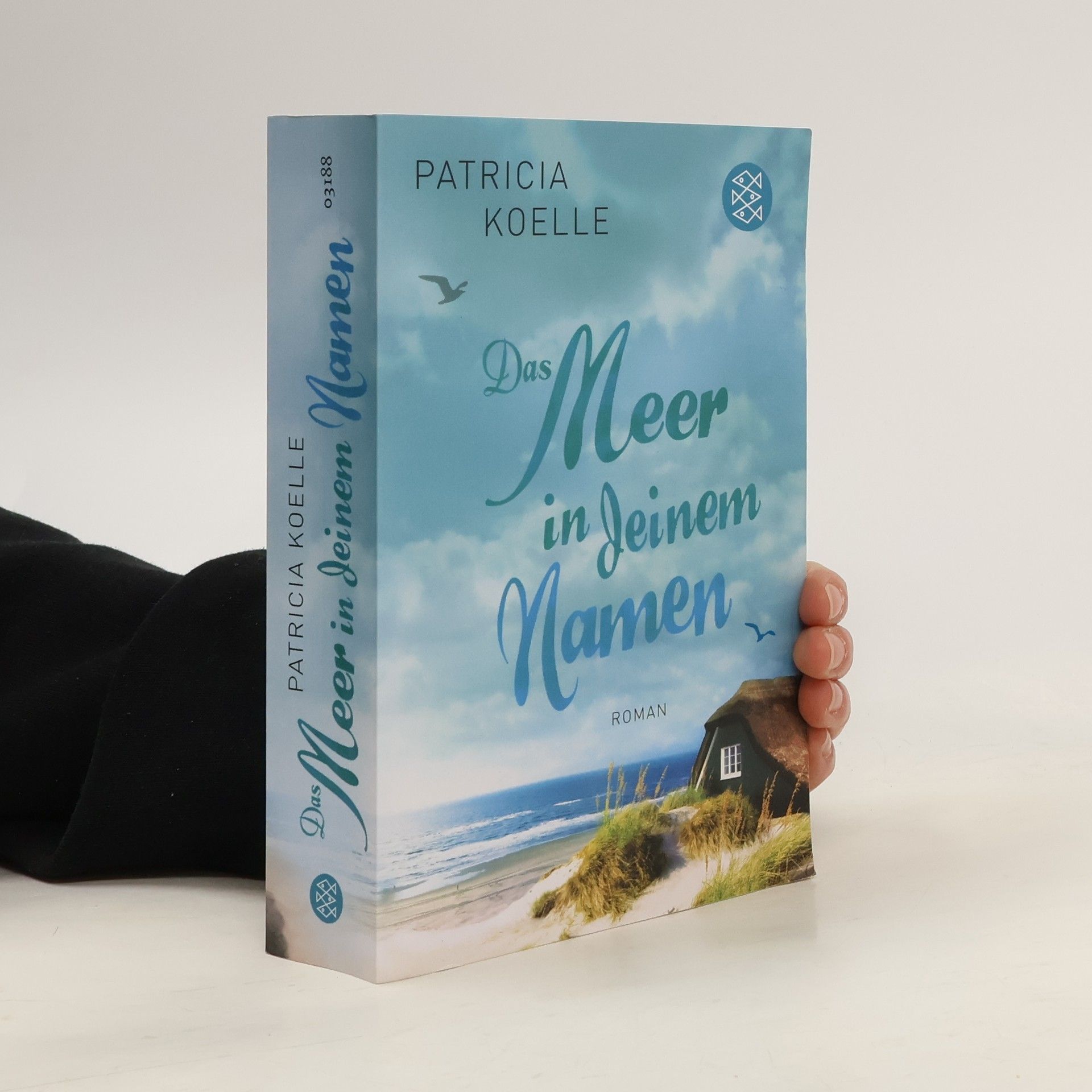 Patricia Koelle Das Meer in deinem Namen