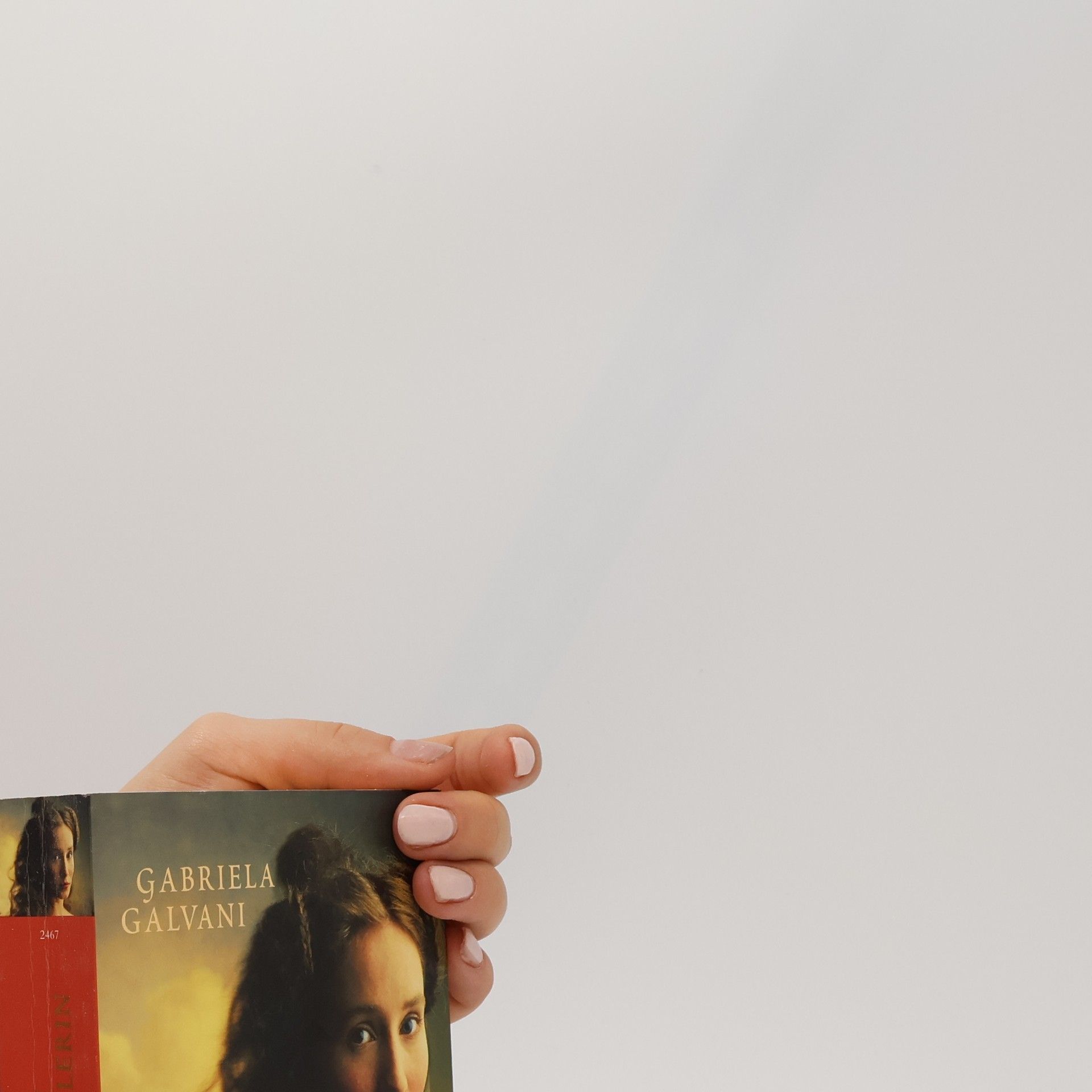 Gabriela Galvani Die Seidenhändlerin