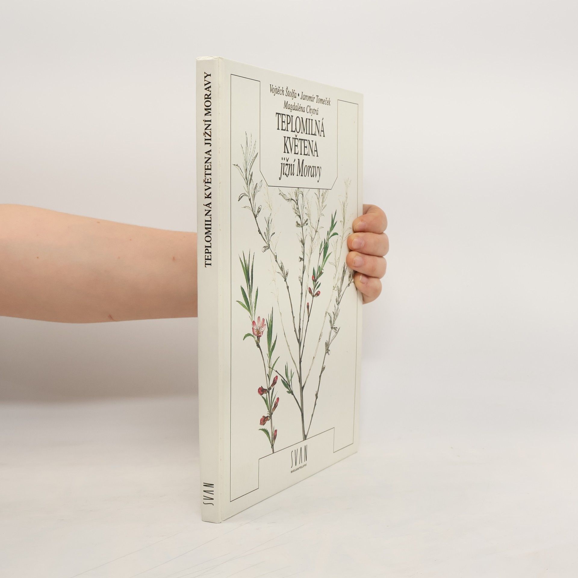 Teplomilná květena jižní Moravy