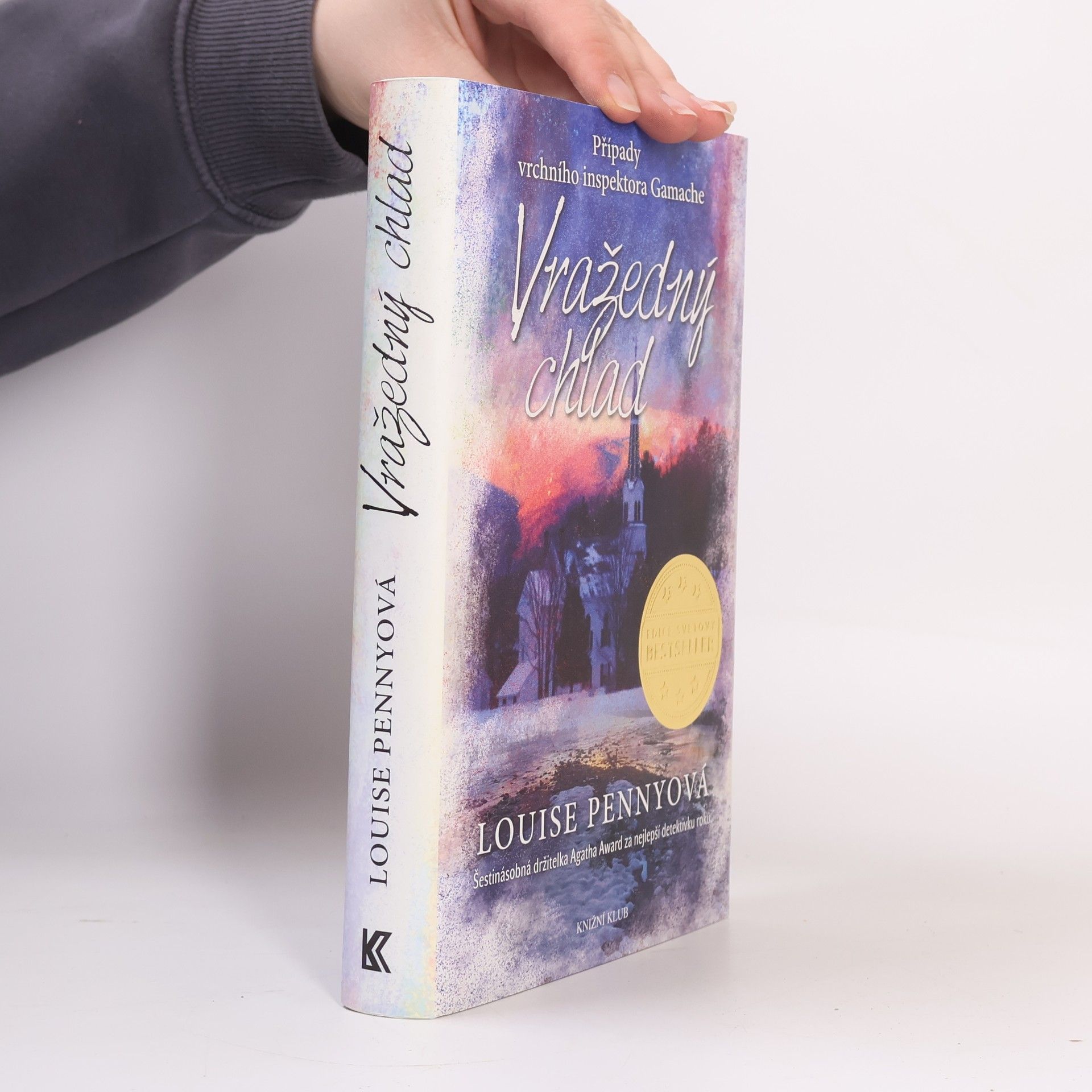 Louise Penny Vražedný chlad