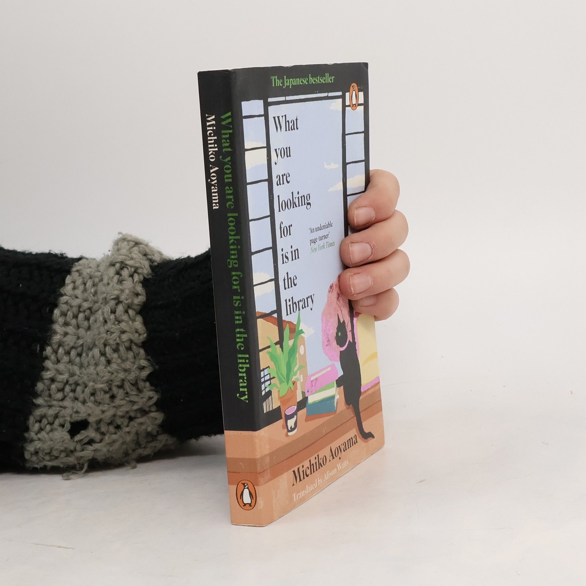 Michiko Aoyama What You Are Looking for is in the Library: The uplifting Japanese fiction bestseller