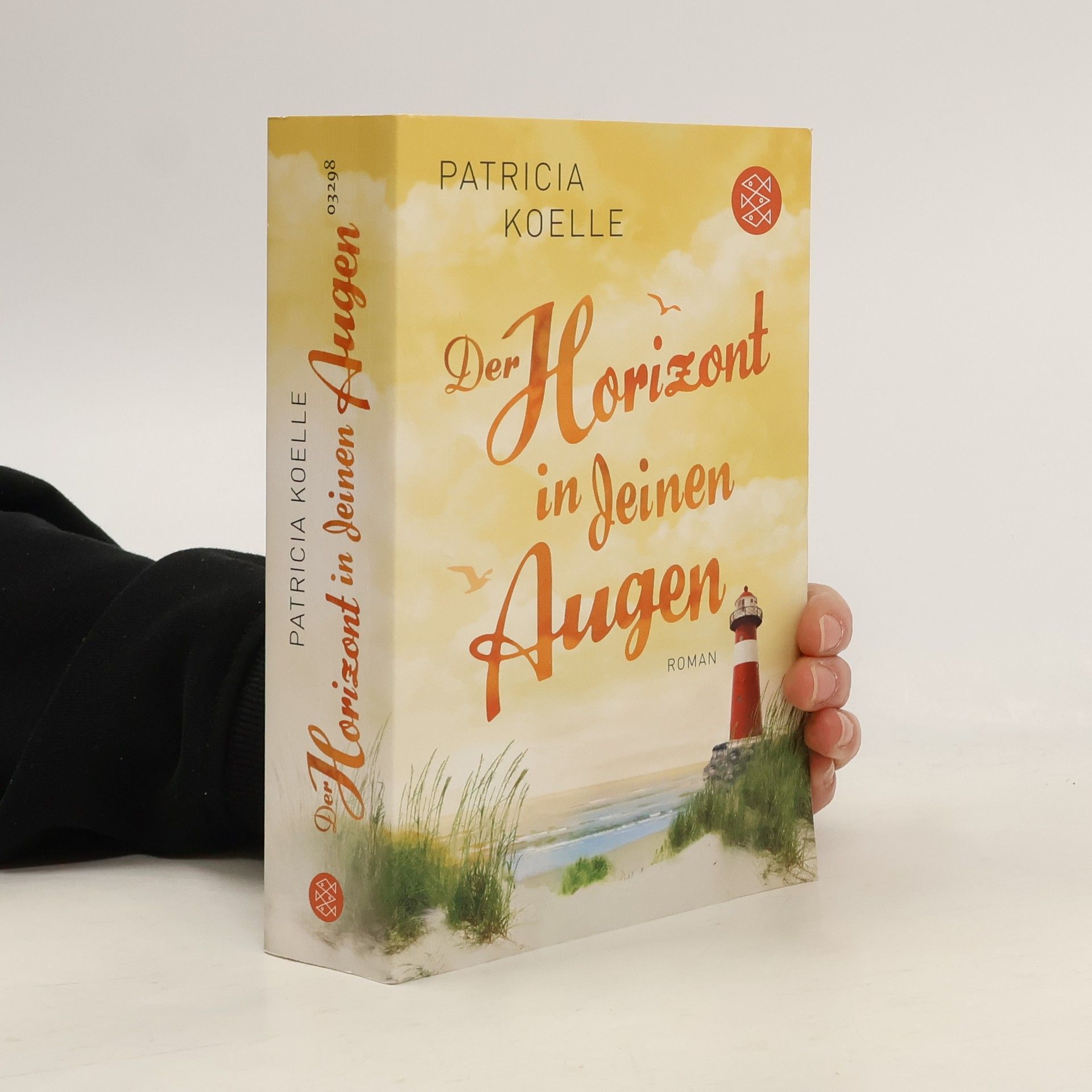 Patricia Koelle Der Horizont in deinen Augen